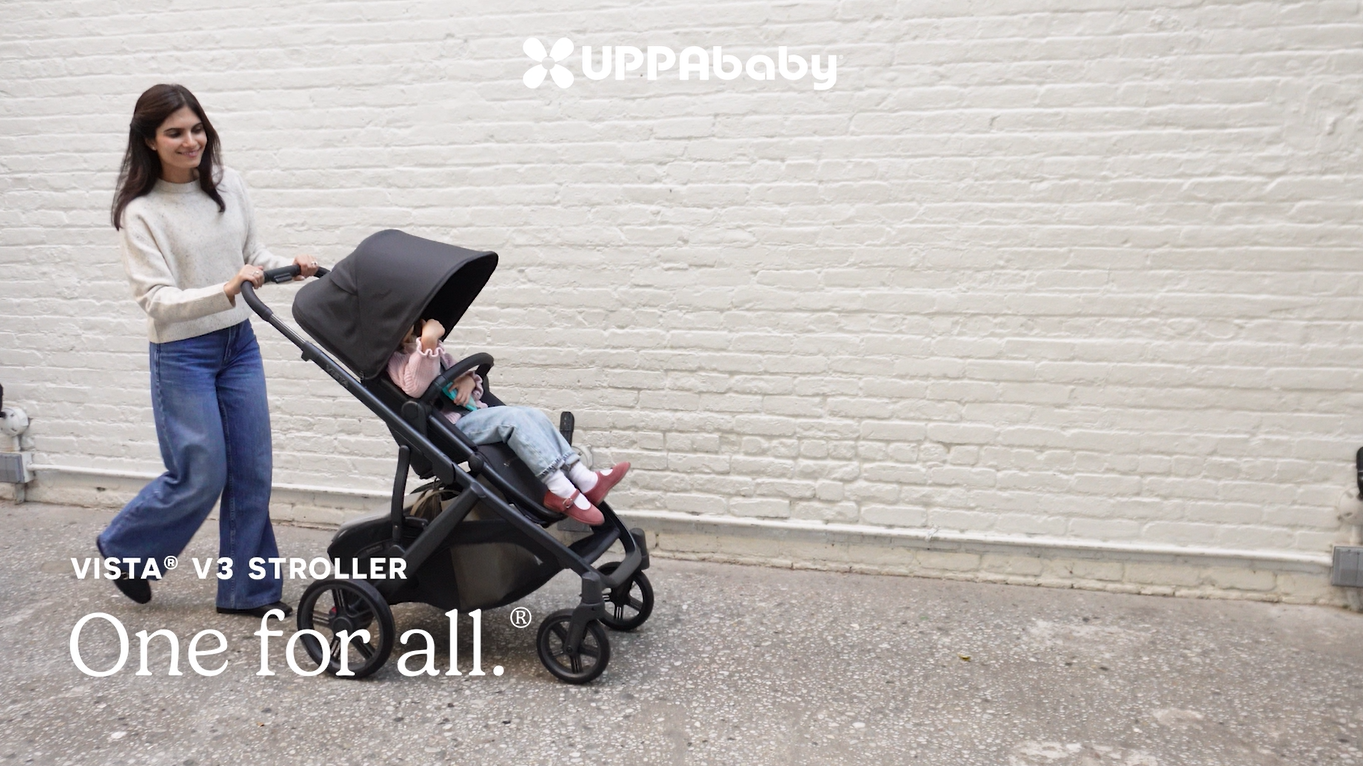 Amazon.com : UPPAbaby Vista V3 Convertible Single-to-Double