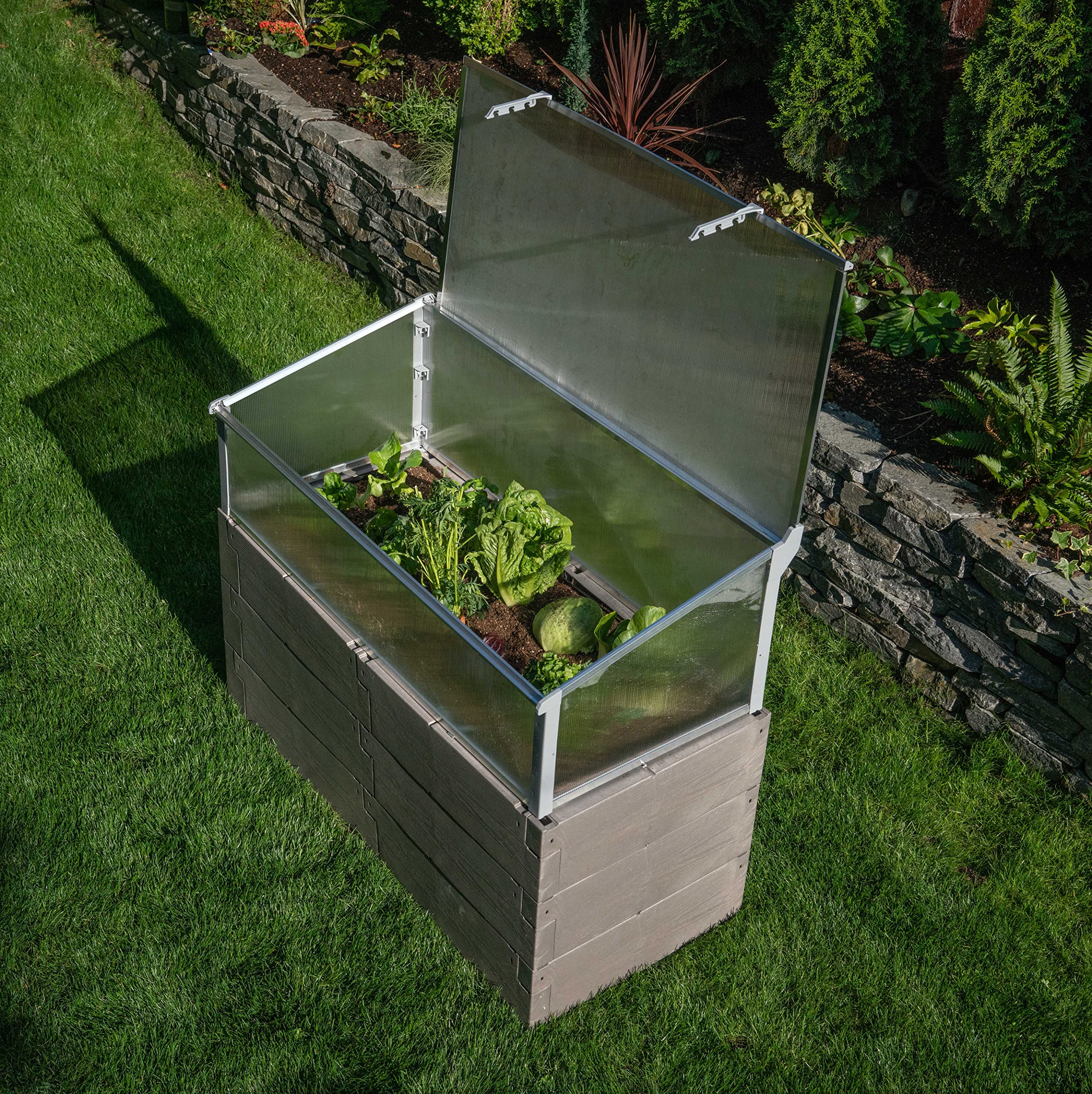 Amazon.com: Exaco Juwel Kombi Dual Function Raised Bed