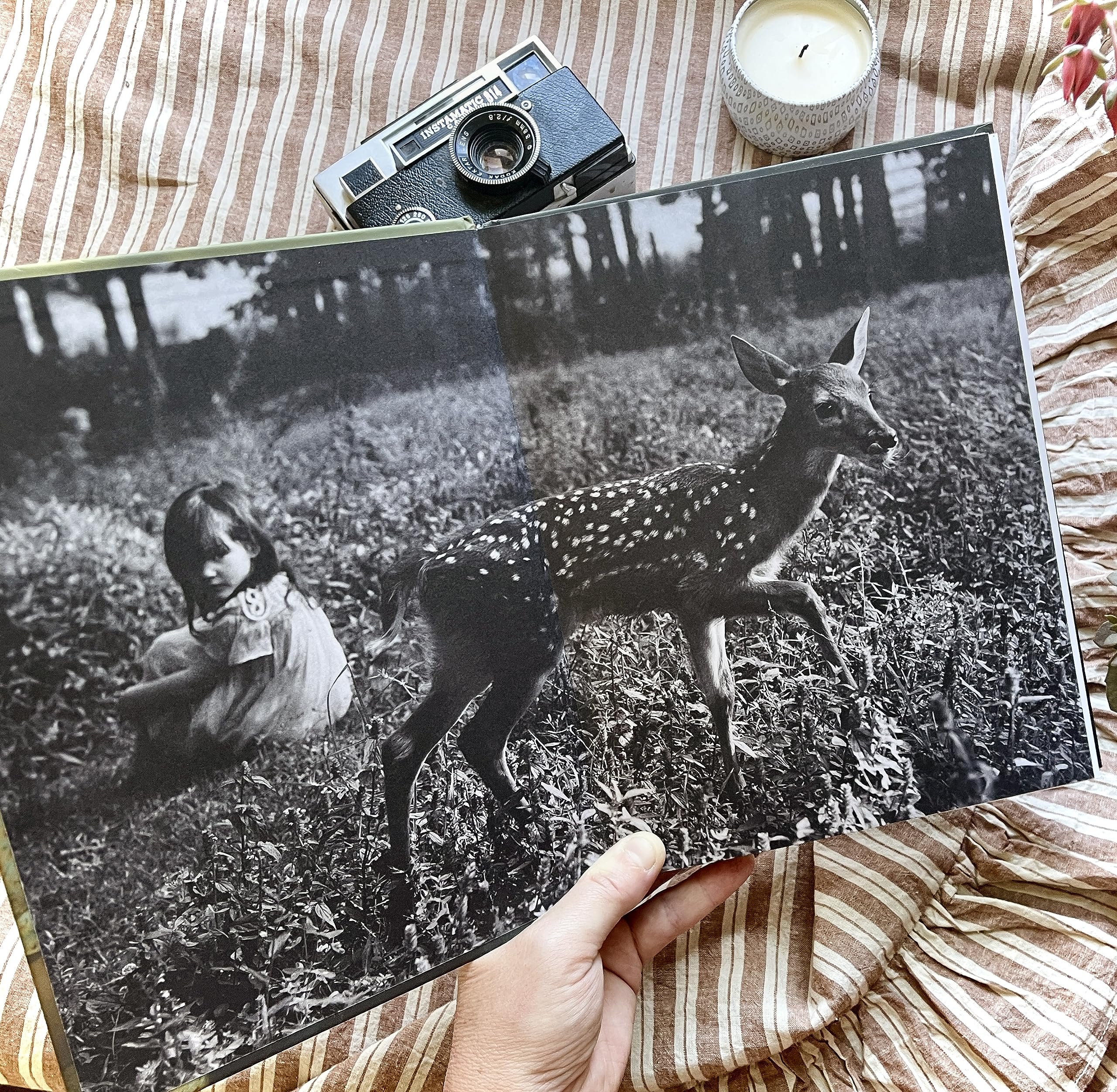 Practicing Presence: A Mother's Guide to Savoring Life Through the Photos You're Already Taking