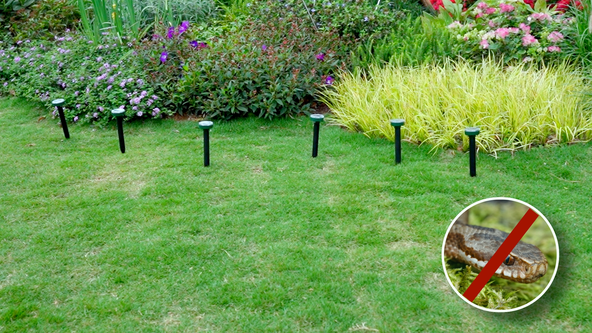 Solar Mole Repellent Ultrasonic Ultrasonic Mole Repellent Outdoor, Mole Repellent Solar-Powered For Lawn Garden Yard, Mole And Vole Repellent Waterproof, Effectively Gopher Repellent