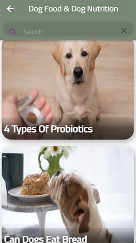 Dog Food & Dog Nutrition
