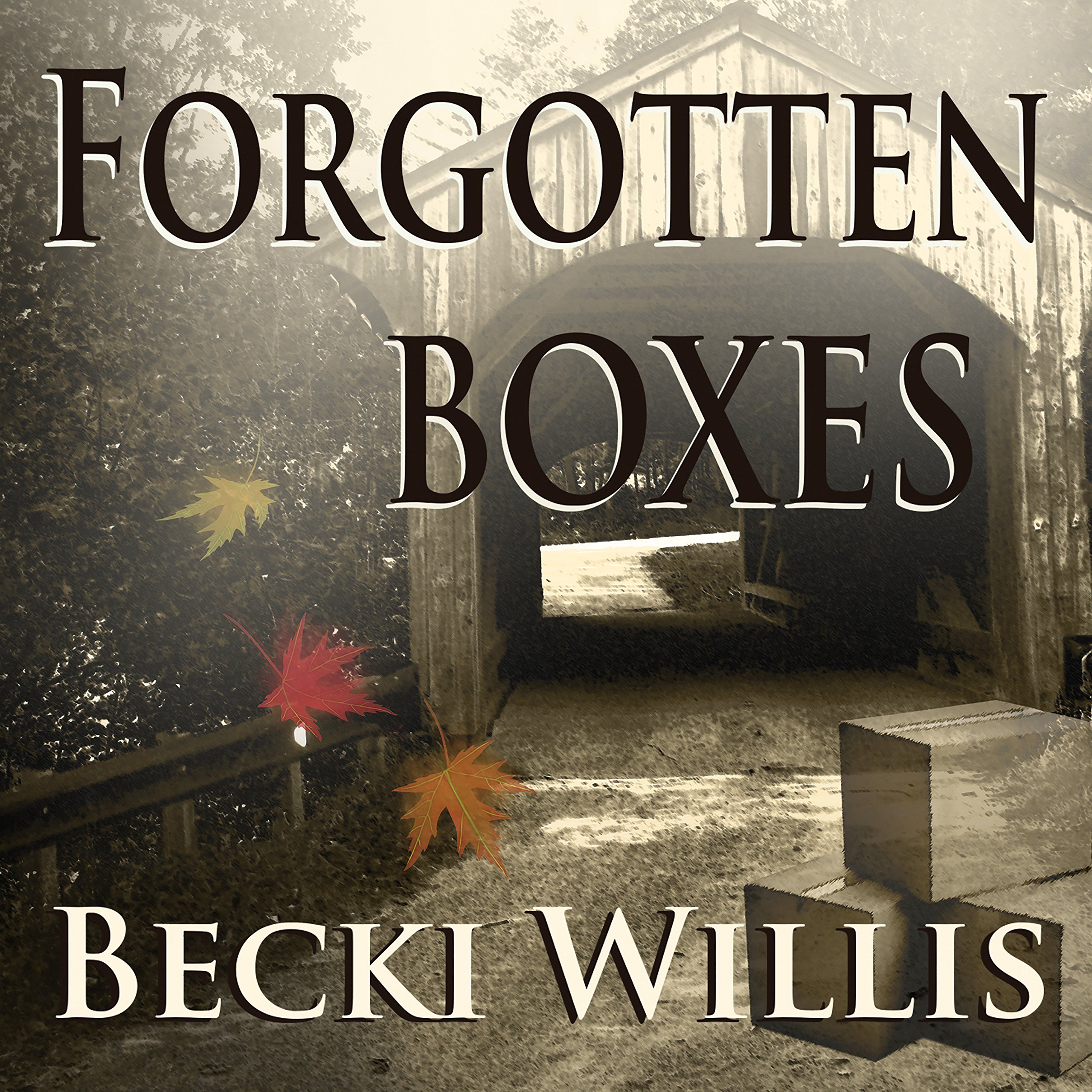 Cover art for Forgotten Boxes