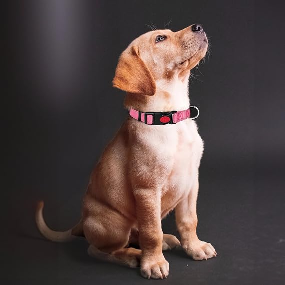 Reflective Nylon Dog Collar with Safety Buckle, Adjustable Pet Collars with Soft Neoprene Padding for Medium Dogs (Pink, S)