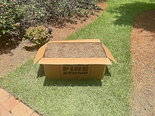 Miniatura 2 de Pala de paja de pino cuadrada premium fácil de extender y manejar  Agujas largas de buena calidad  Cobertura de 65 a 70 pies cuadrados  Ideal para