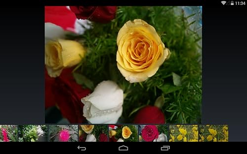 DG Image Viewer
