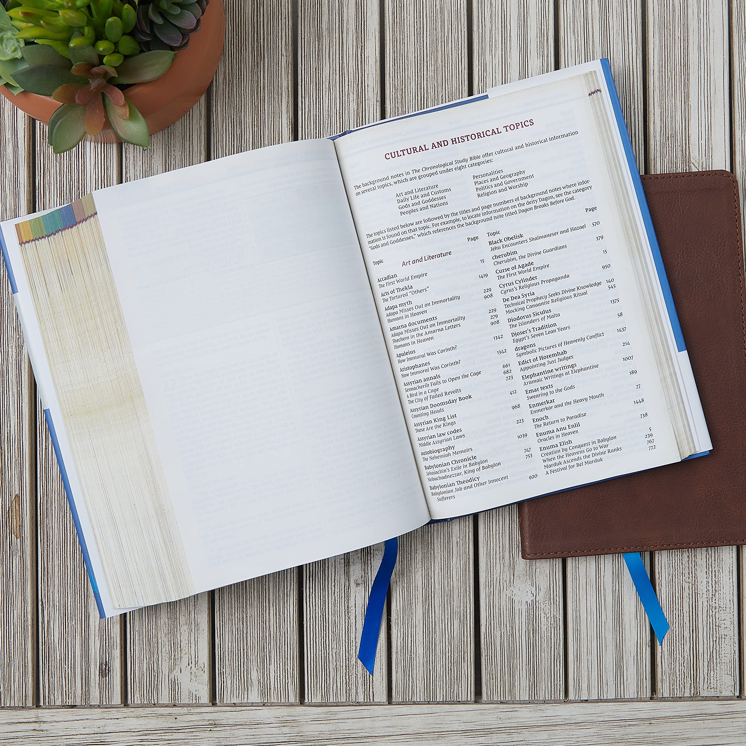 NIV, Chronological Study Bible, Hardcover, Comfort Print: Holy Bible, New International Version