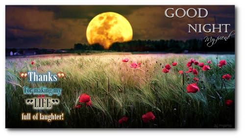 Good Morning Good Night Beautiful Flower Amazon Co Uk Appstore For Android