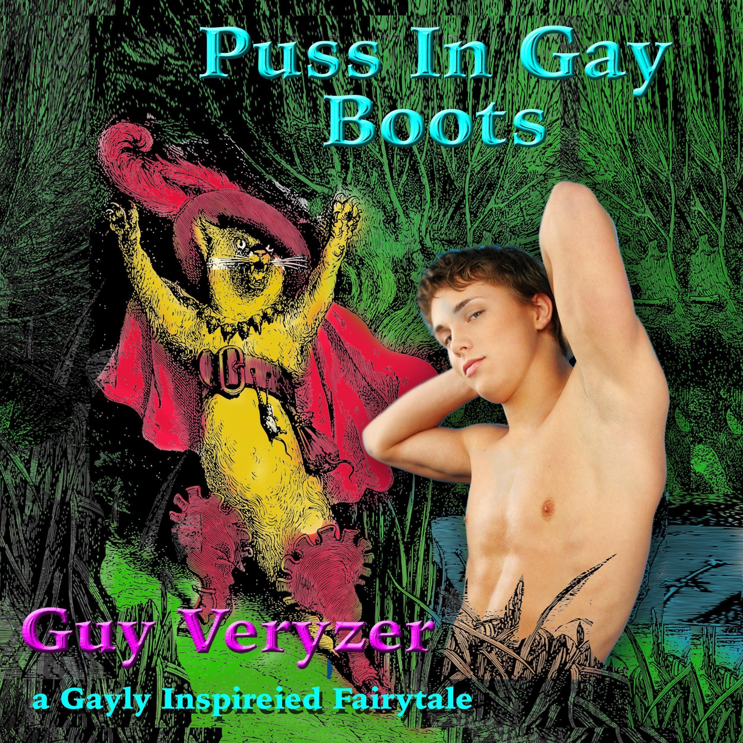 Cover art for Puss in Gay Boots