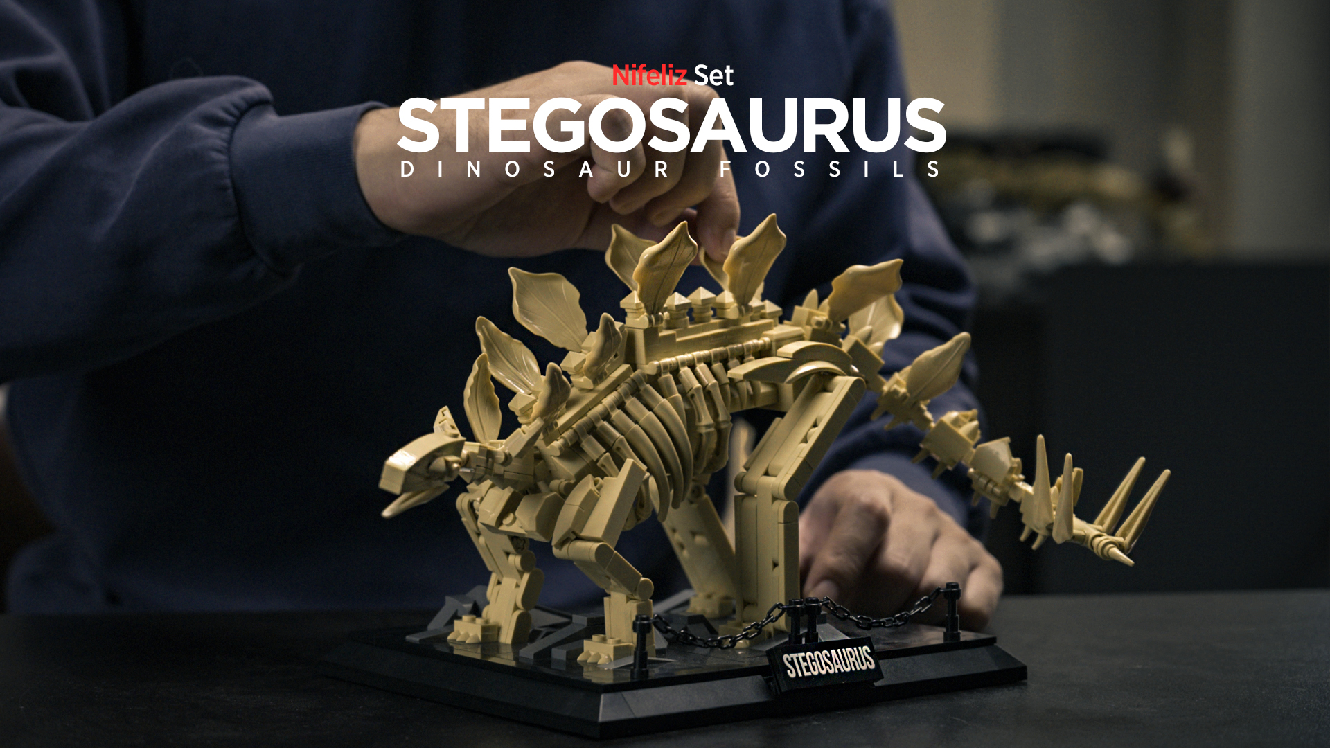 Amazon.com: Nifeliz Stegosaurus Fossils Model Set, Dinosaur