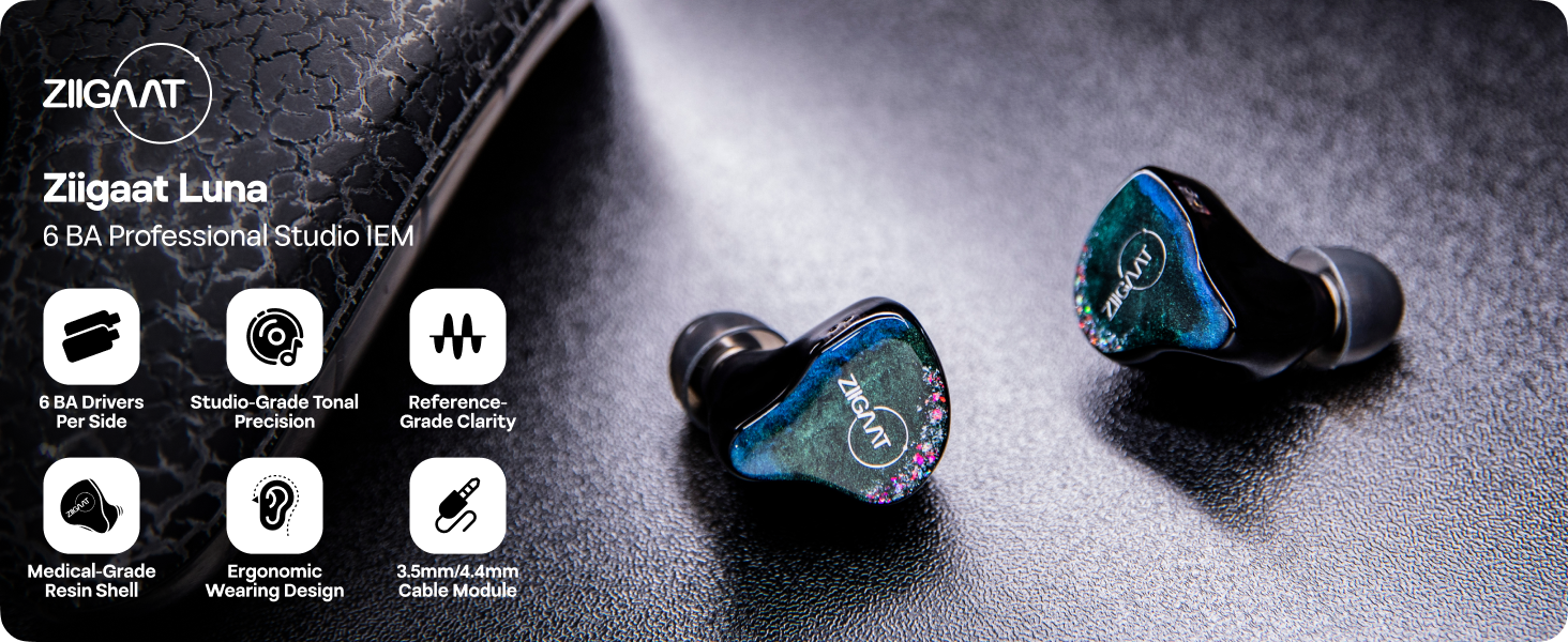 Amazon.com: Linsoul ZiiGaat Luna 6BA HiFi in Ear Monitor, Studio