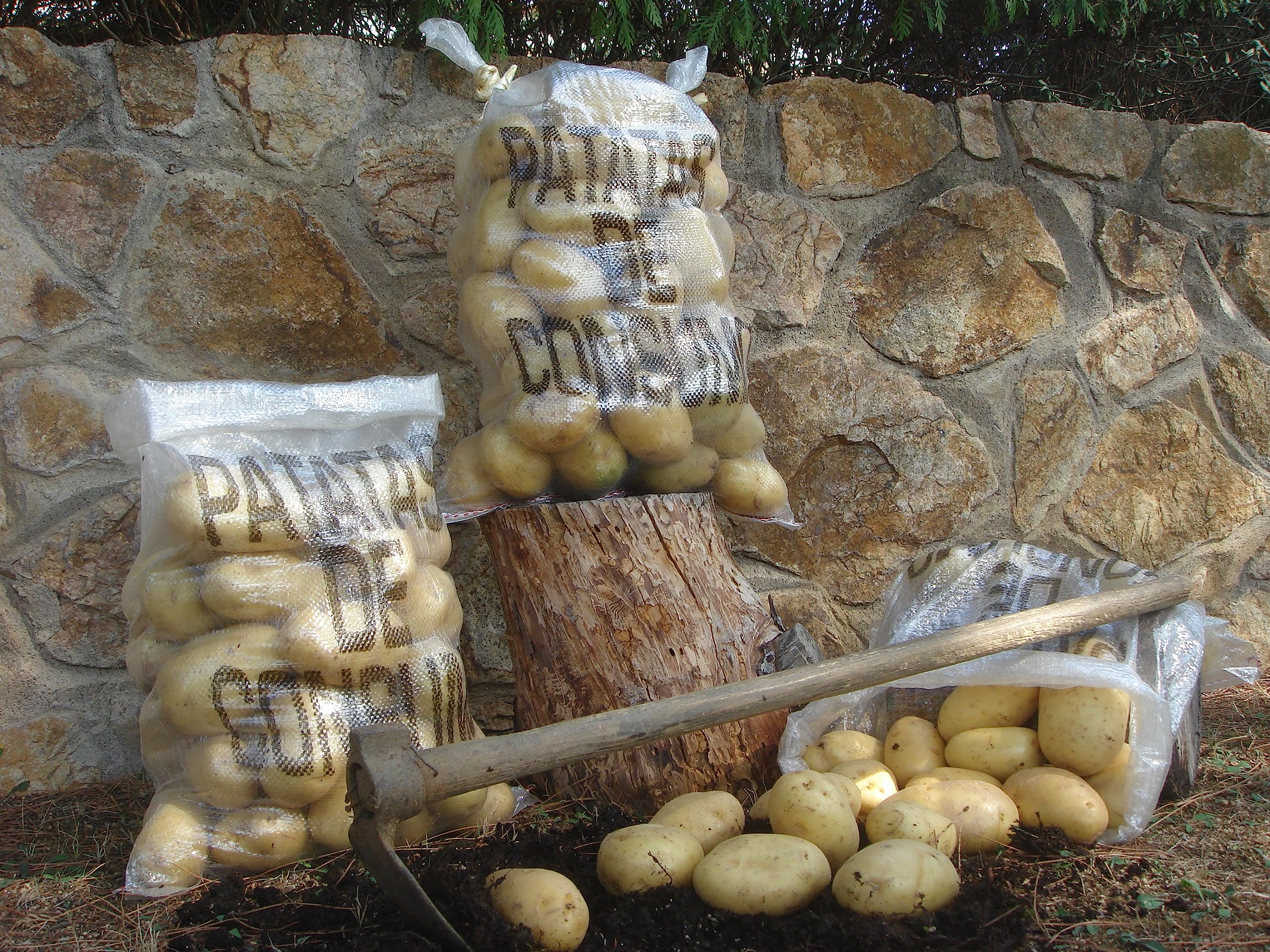 MULTISAC 4015. Saco para patatas 42x70cm Patata de Consumo | 15Kg de Patatas | (500 unidades)