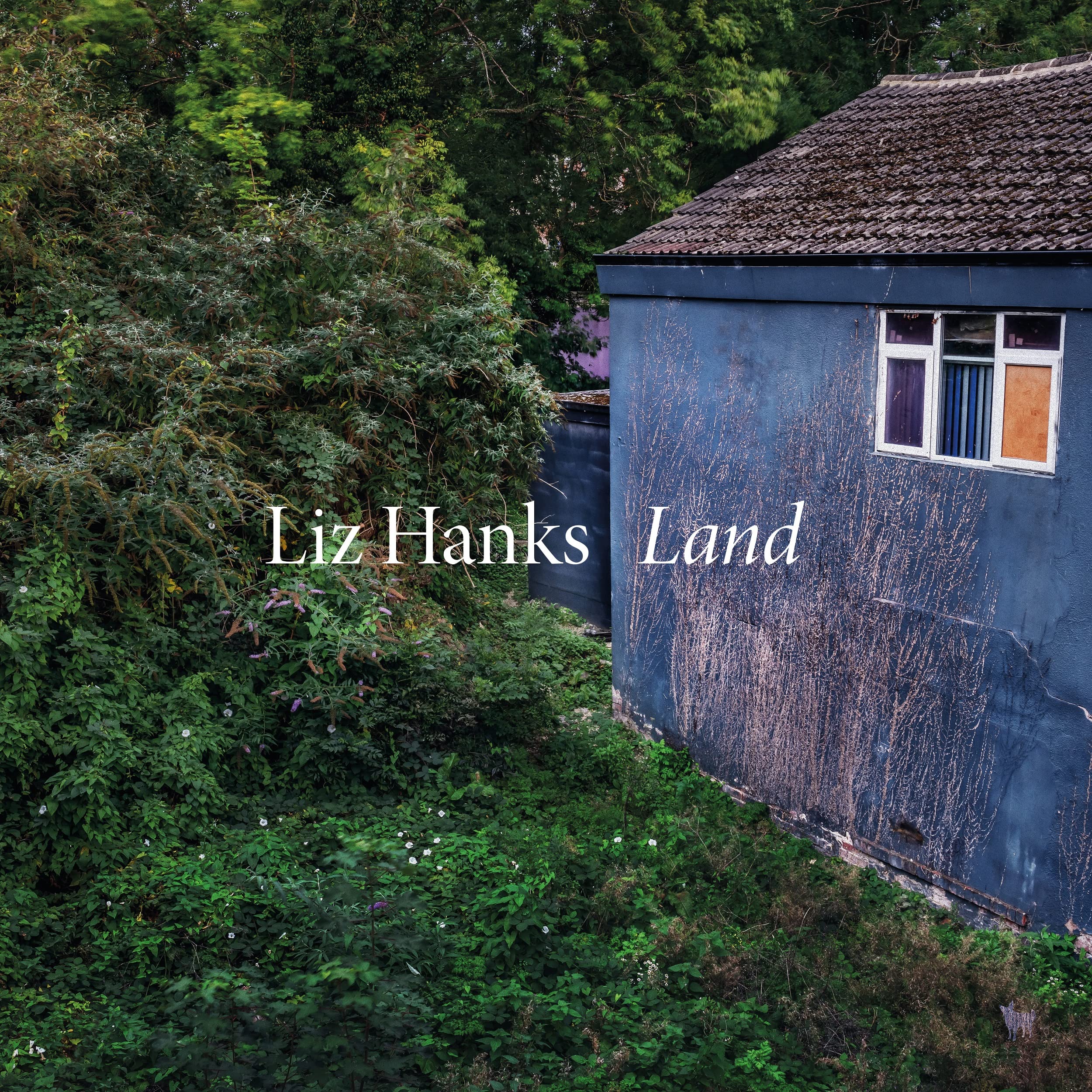 Land [VINYL]