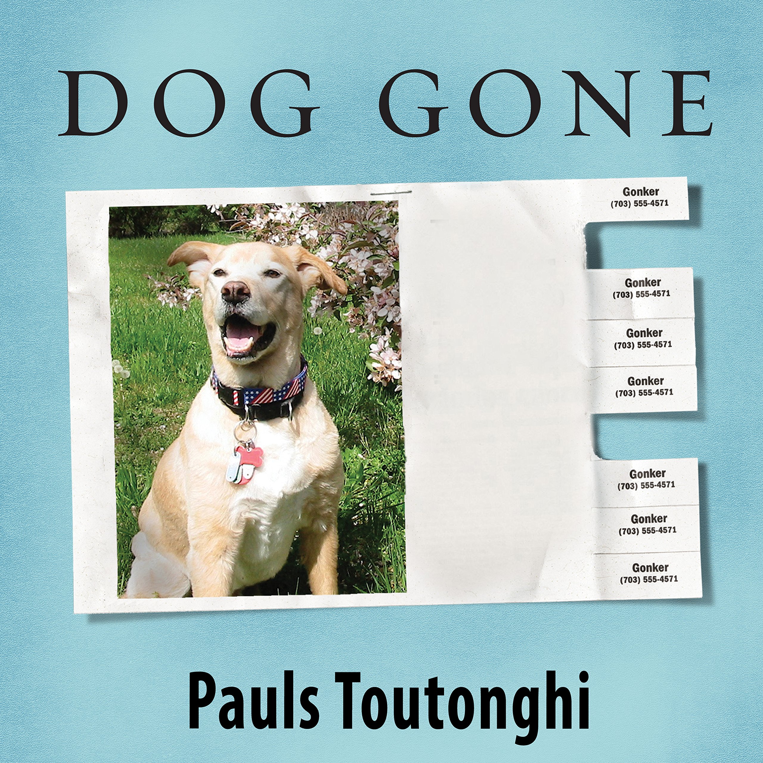 Cover art for Dog Gone