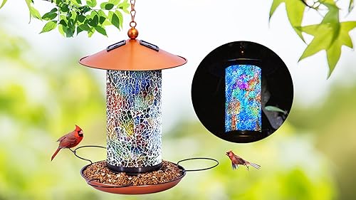 Bird Feeder Solar Energy  and Garden Light