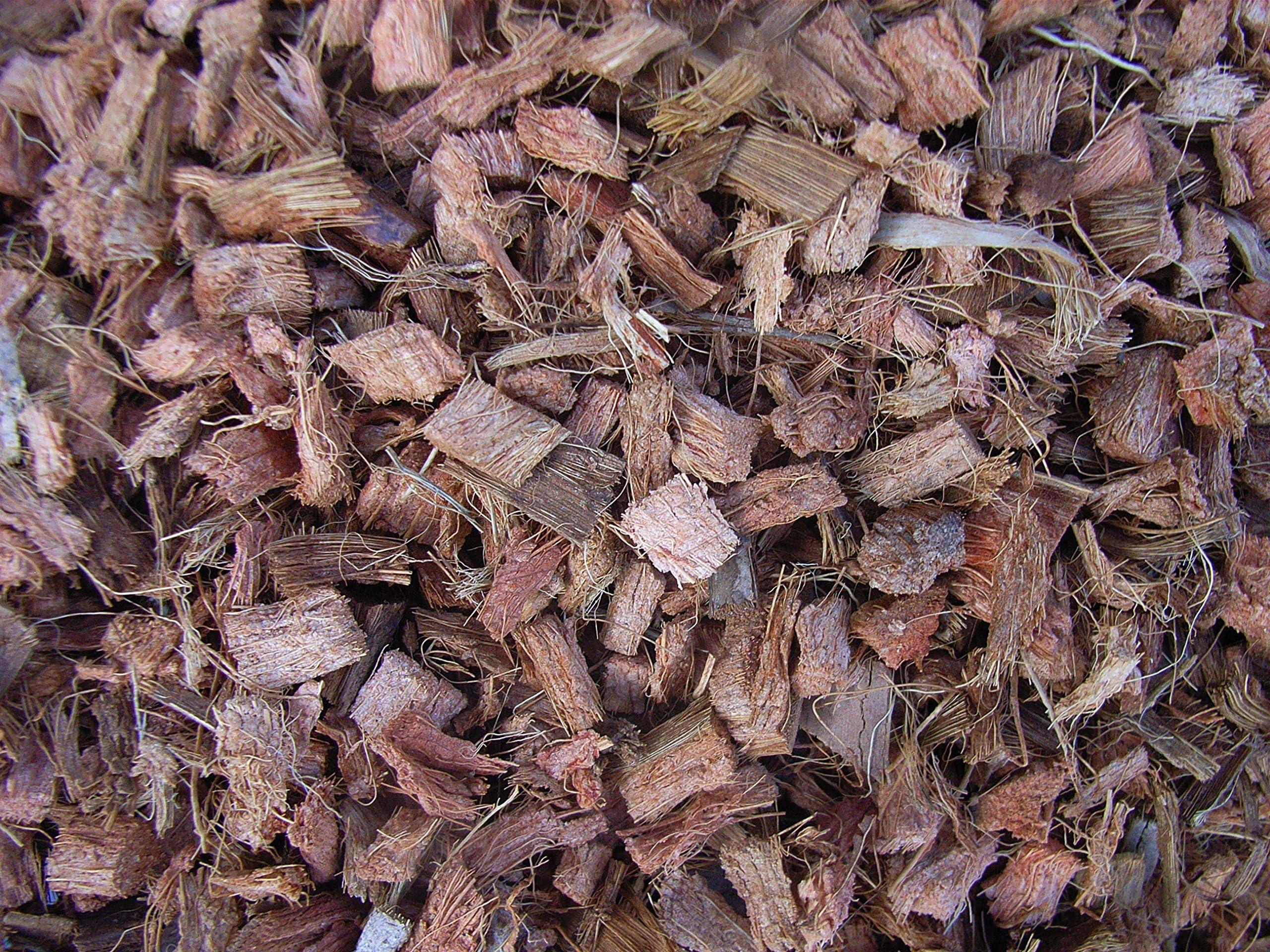 100 copeaux Noix de Coco, grossière, 50 litres (EUR 0,63/Litre — free download