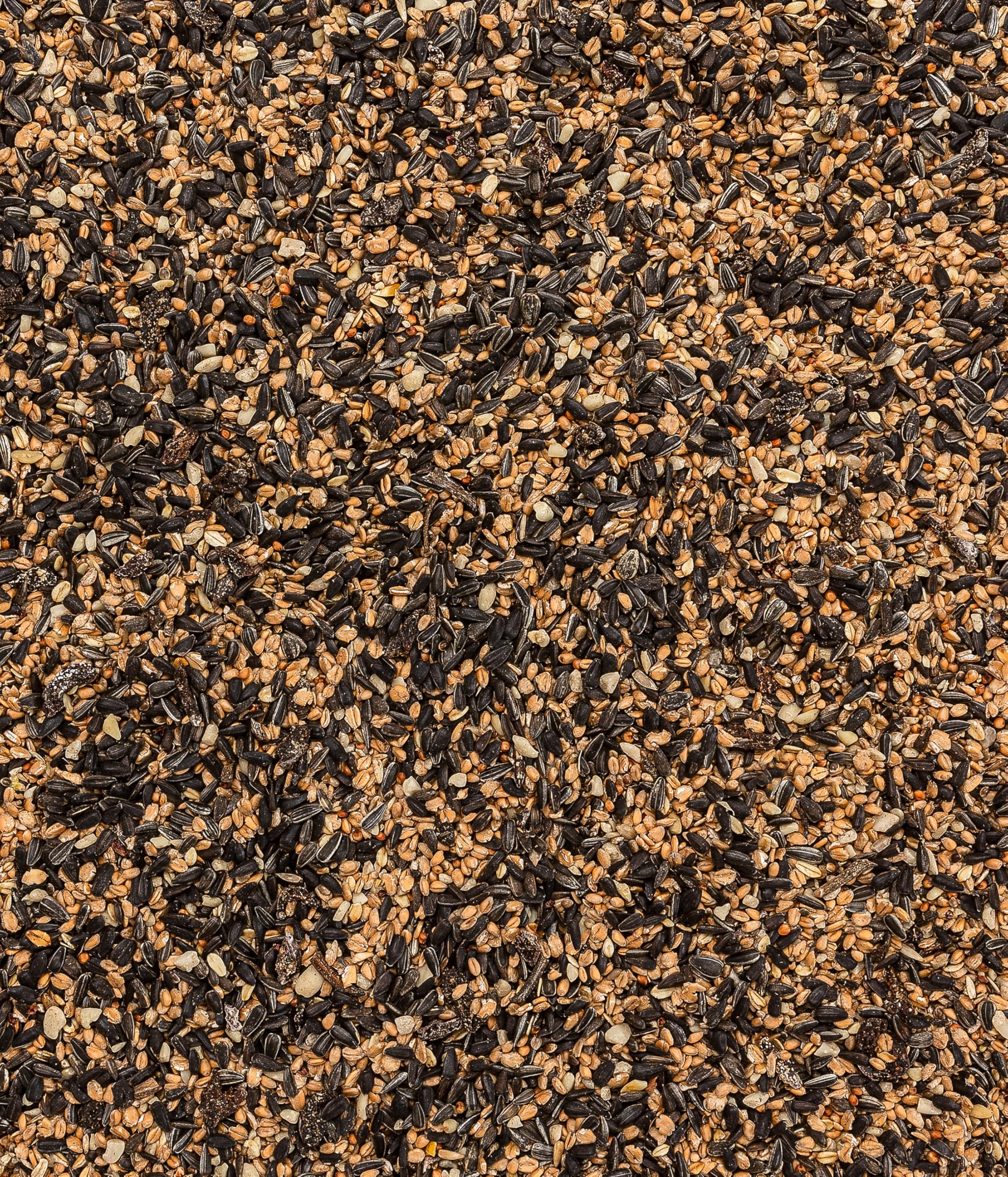 Dehner Natura Premium mangime per uccelli selvatici 2,5 kg con semi di girasole e arachidi