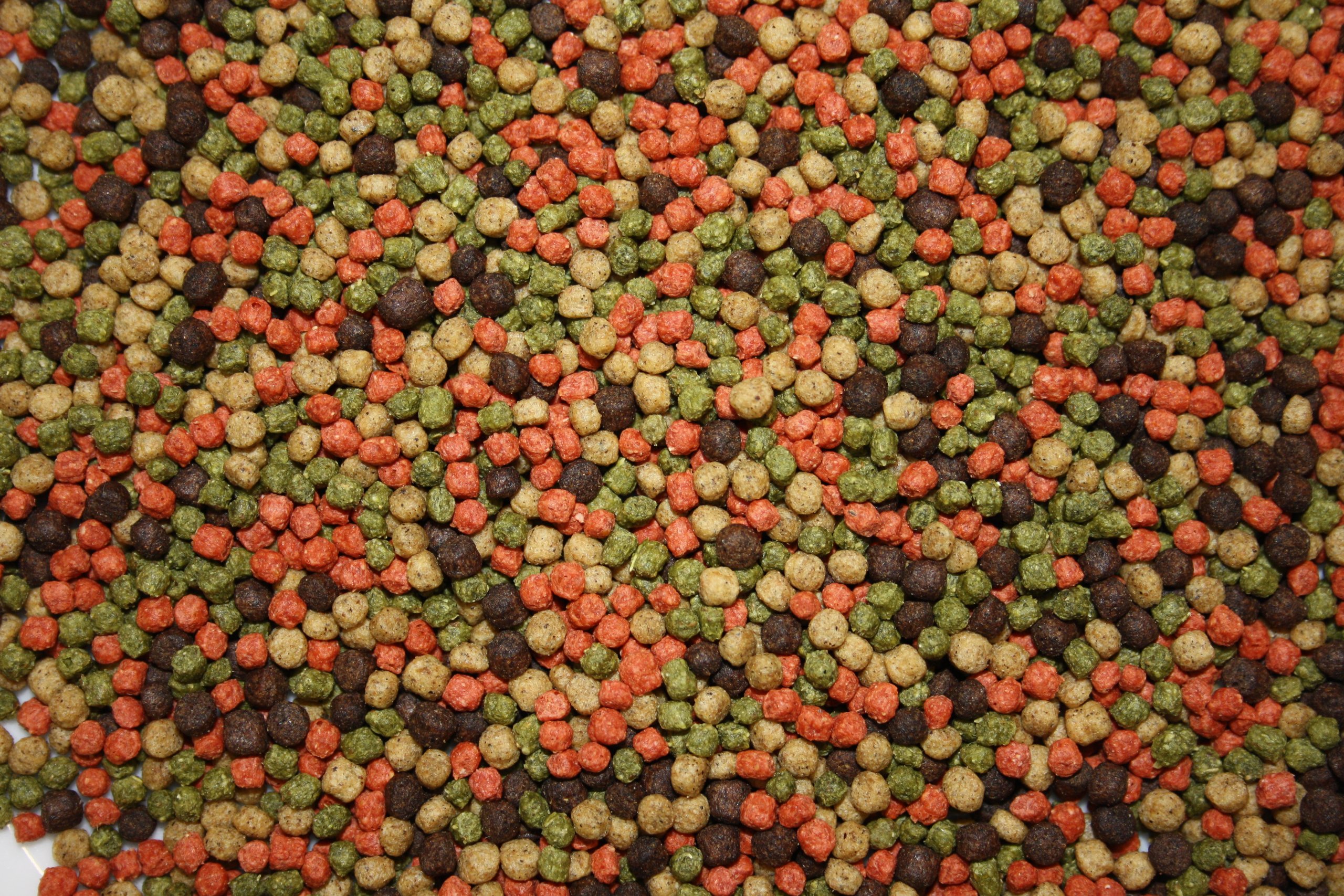 Koifuttermischung, Koifutter, Schwimmfutter, Premium Koimix, 4farbig Rot-Grün-Weiß-Braun, Teichfuttermix, Spirulina, Astax, Paprika, Krillmehl.Koifuttermix für Koi + Teichfische 15kg, 3 + 5mm gemischt