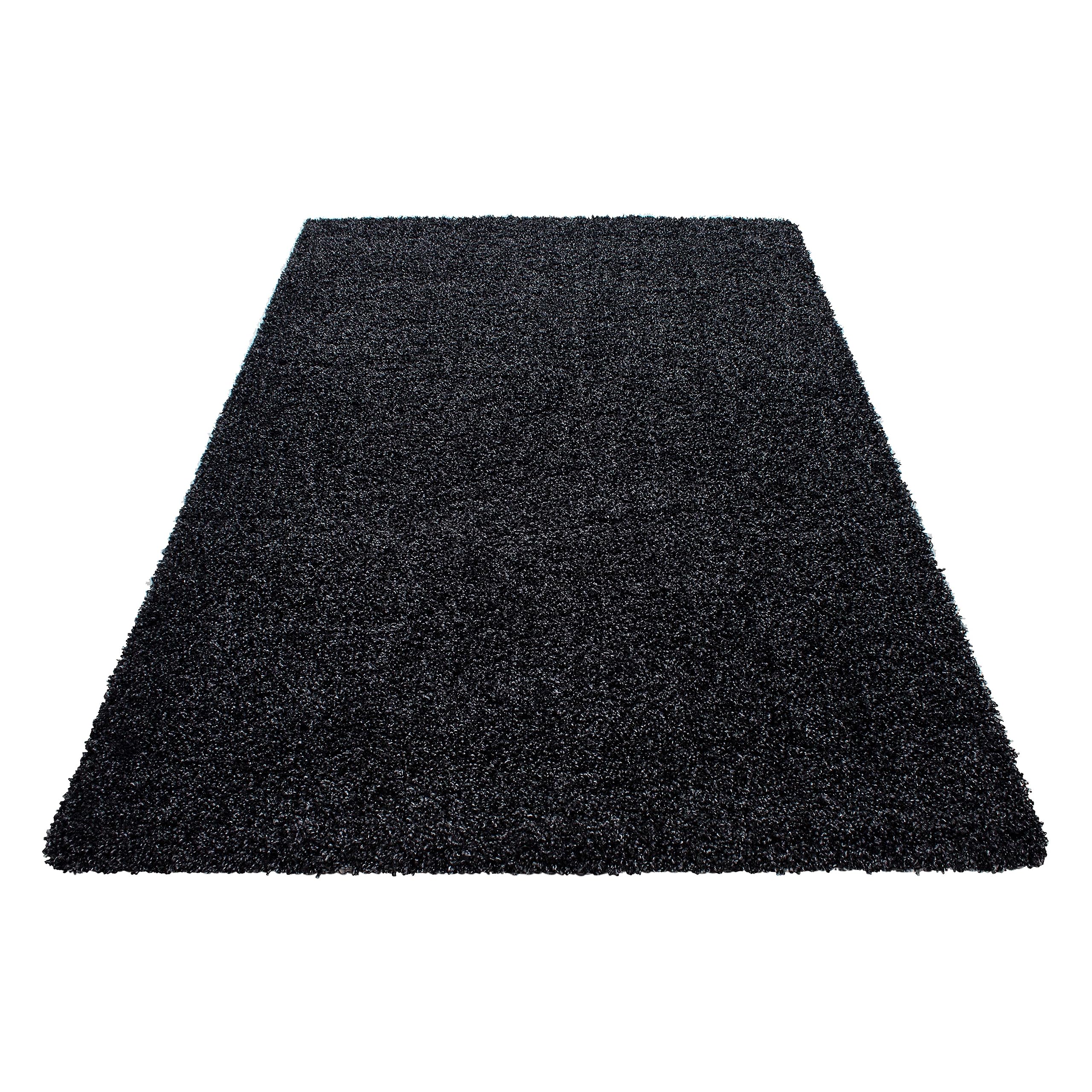 HomebyHome Tapis Shaggy Anthracite 160x230 cm Grand Tapis à Poils Longs Doux Moderne uni idéal pour Salon spacieux Chambre ou séjour Confortable et décoratif