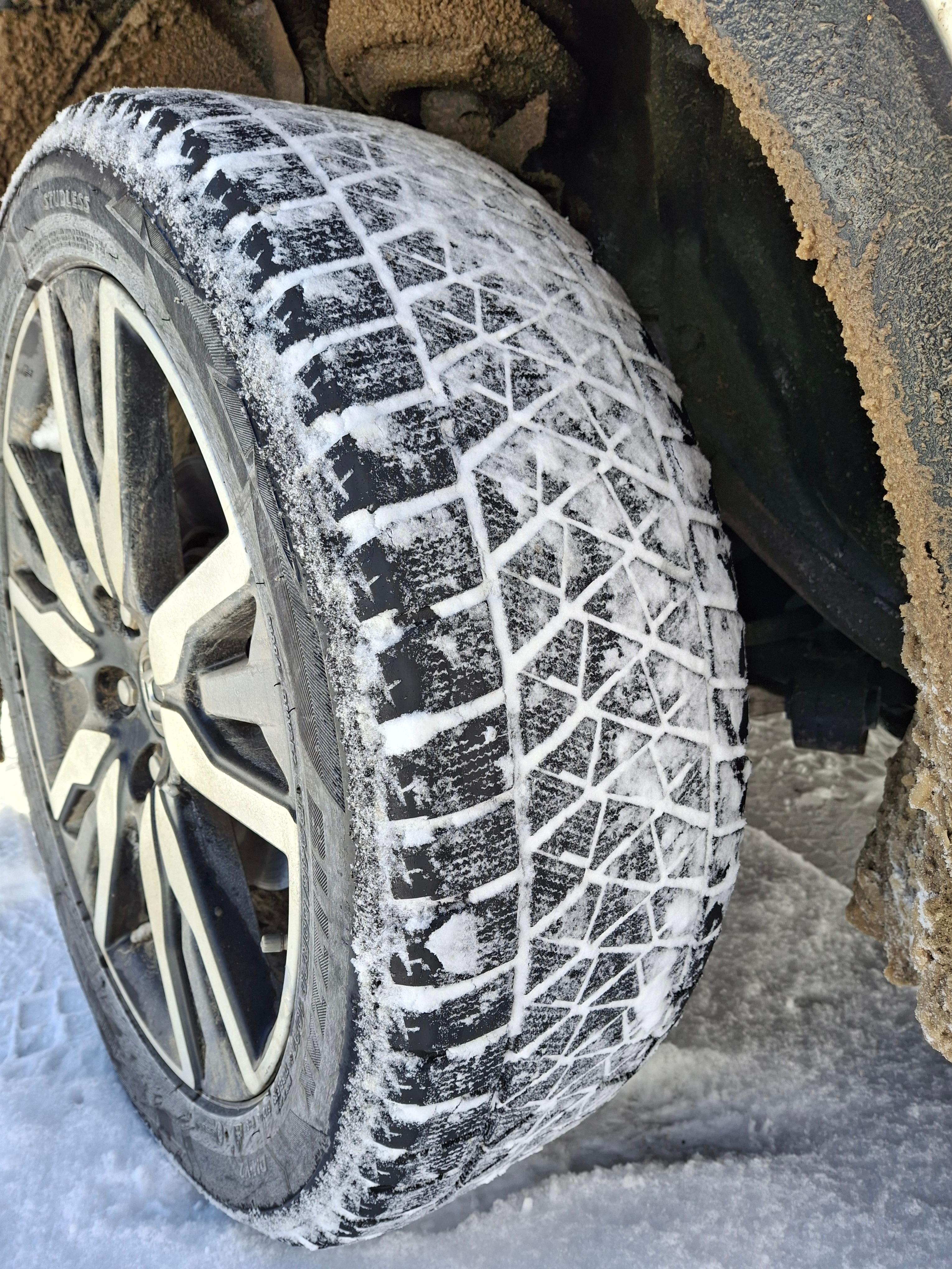 Amazon.com: Bridgestone: Blizzak DM-V2