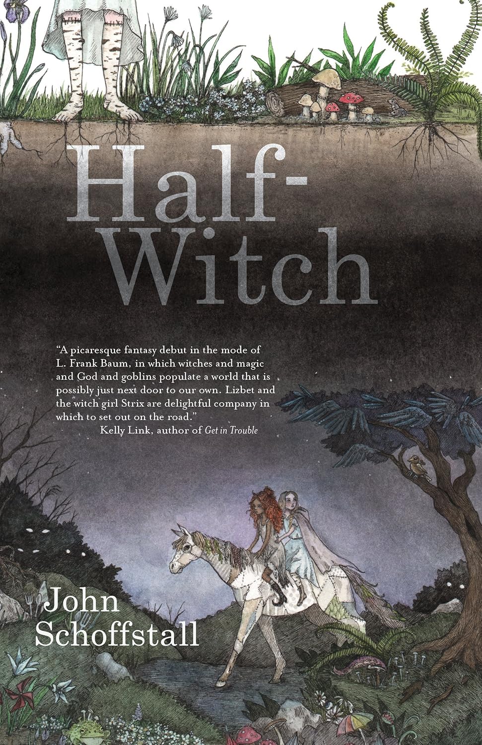 Half-Witch: a novel      Hardcover – July 17, 2018