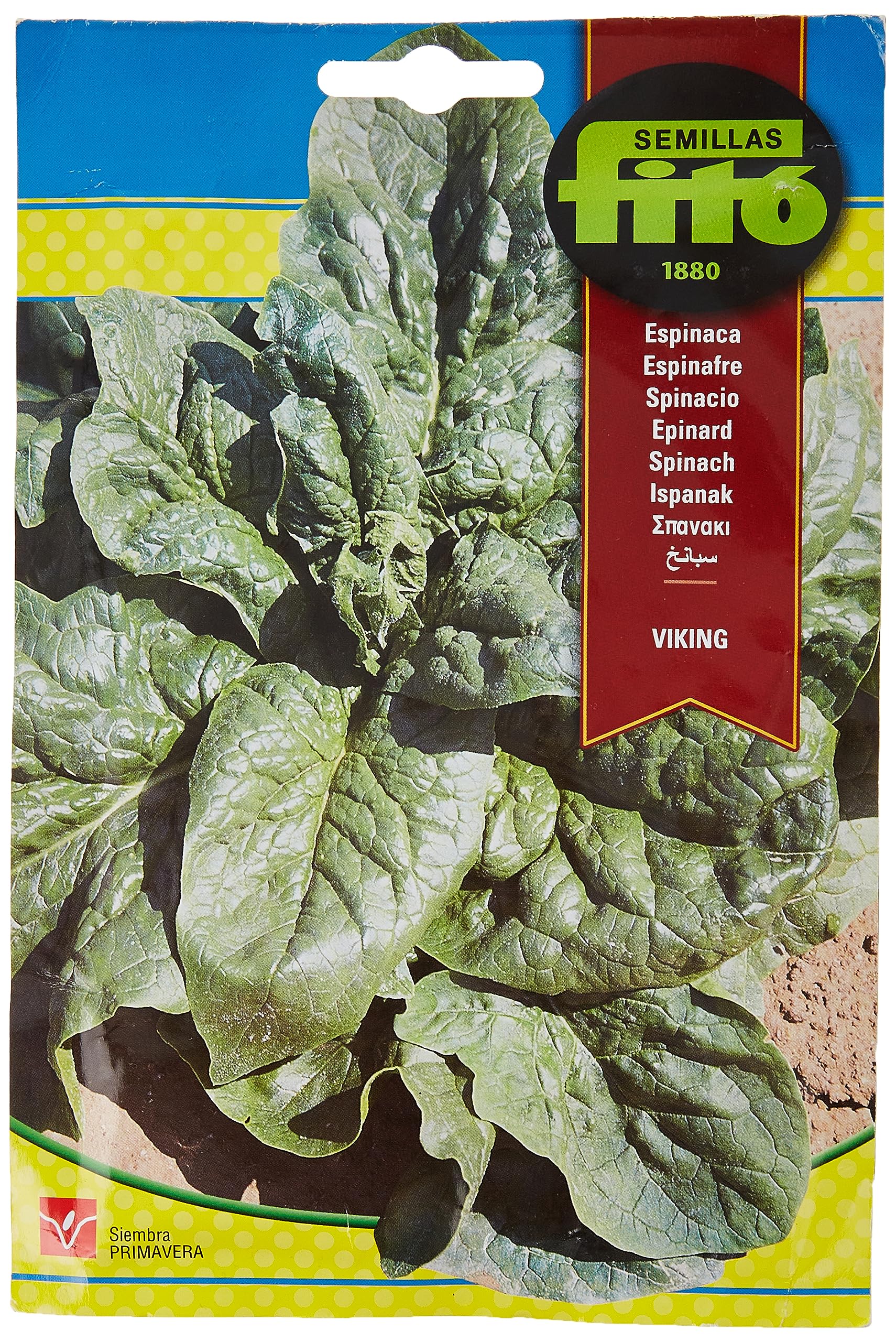 SEMILLAS FITO Spinach Plant