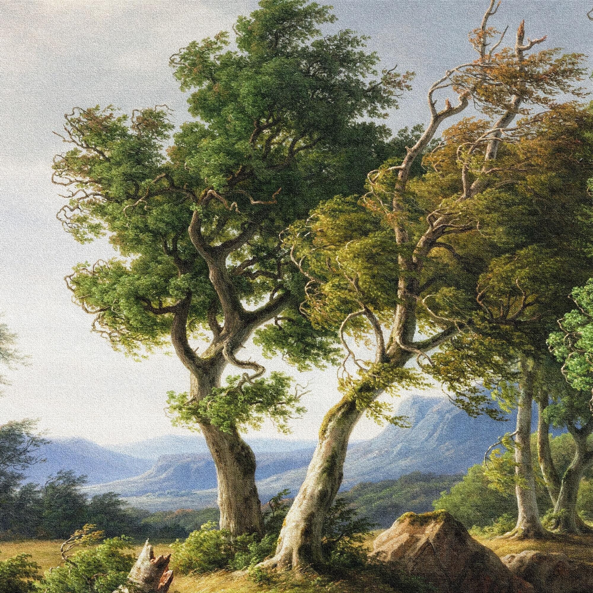 View 8