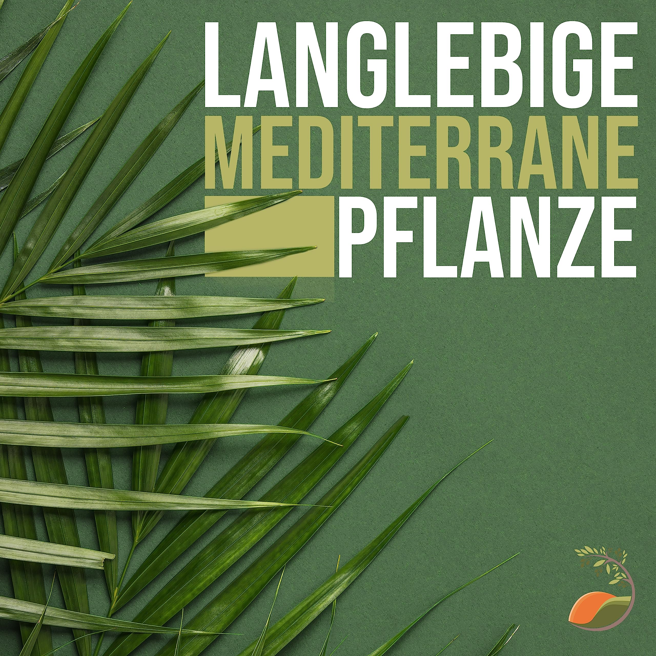 TROPICTREES Palmier Cordyline Pink Passion | 50 cm de hauteur | Feuilles roses vibrantes Plantes Exterieur à feuilles persistantes | Cordyline au feuillage luxuriant Rose Elegance Pot Plante