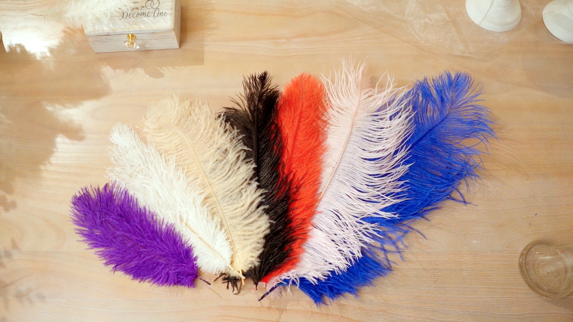 BK×BK) ファッション ostrich feather bra (BK×BK)