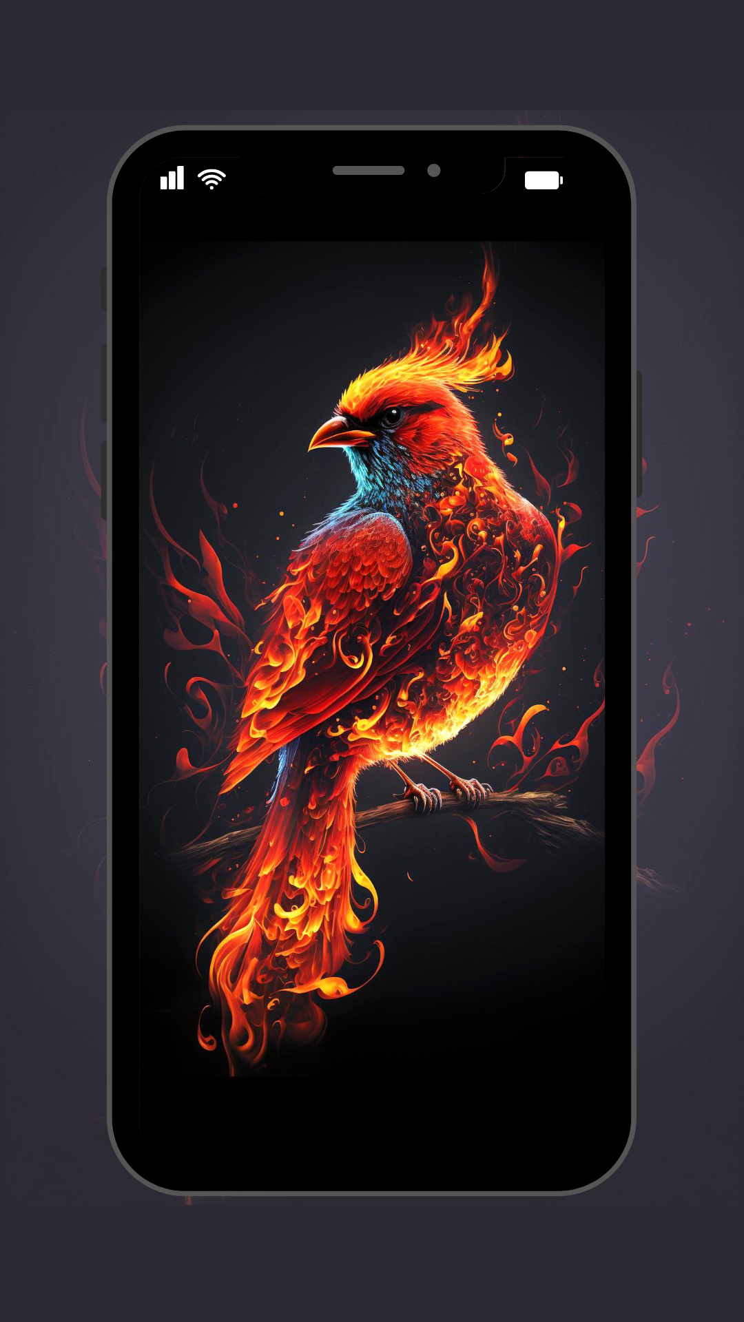 Fire Wallpapers - App on Amazon Appstore