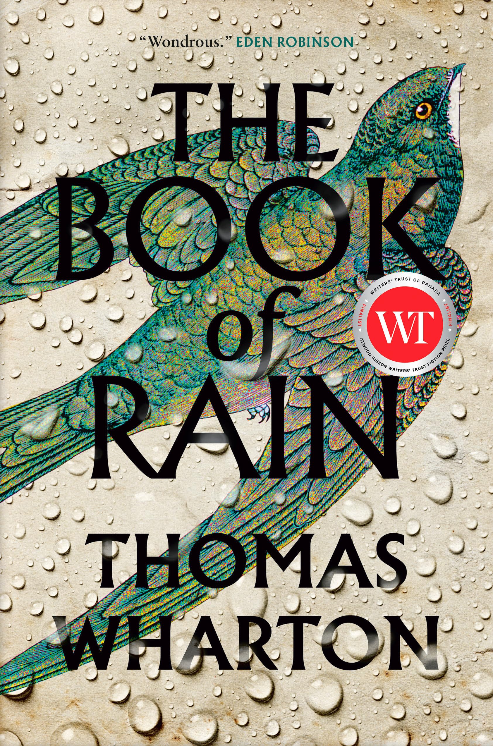 Buy The Book of Rain — BookShops.in