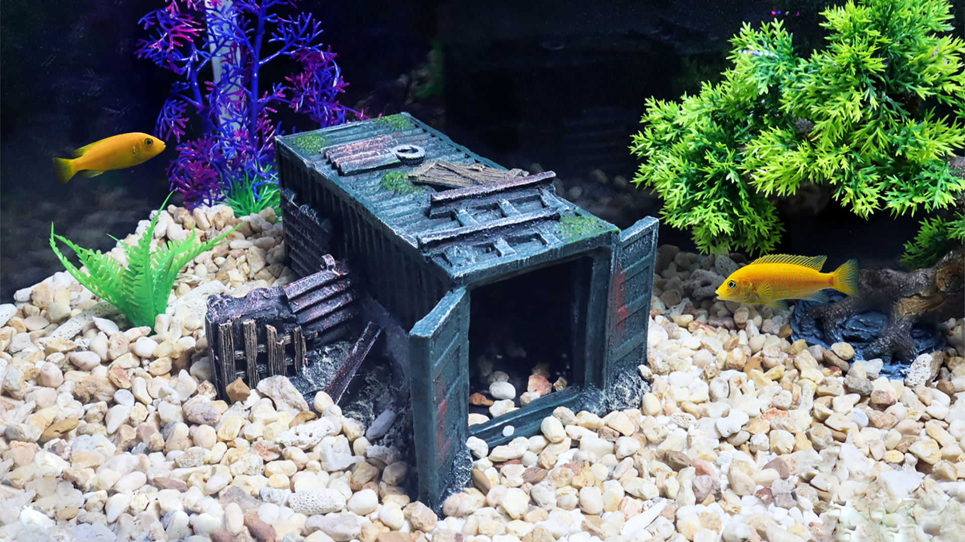 PTFJZ Fish Tank Decorations Container Aquarium Decor Sunken Ruins Betta Fish Tank Accessories witth Big Hole for Fish Sleep Rest Hide and Play : Pet Supplies