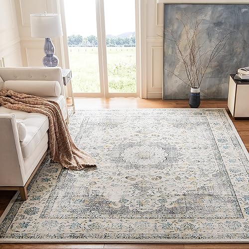 Safavieh Evoke (Colección EVK220B) - Alfombra oriental vintage gris y dorada