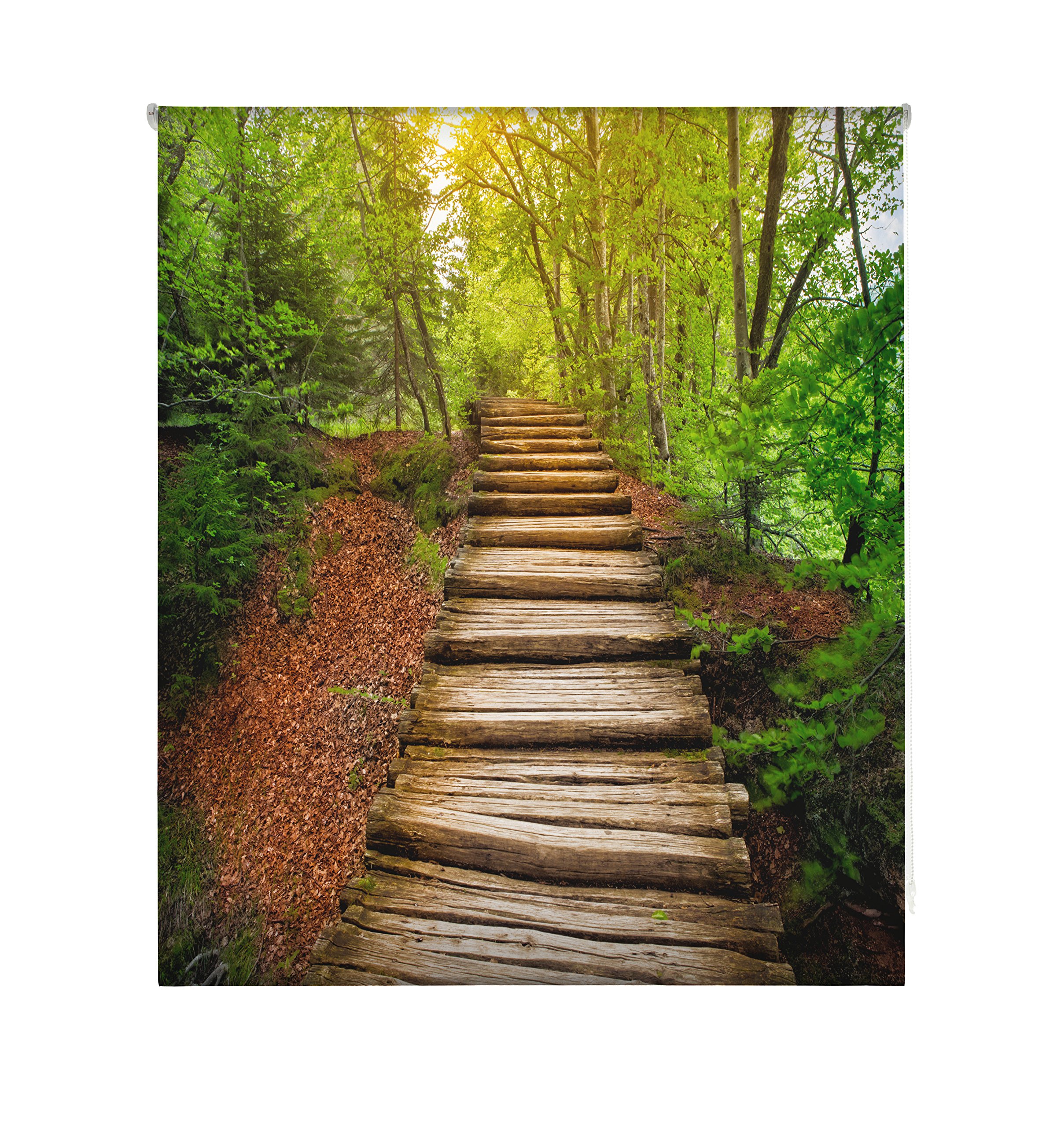 blindecor w-p-56224 – Roller Translucido Digital Print, 110 x 180 cm