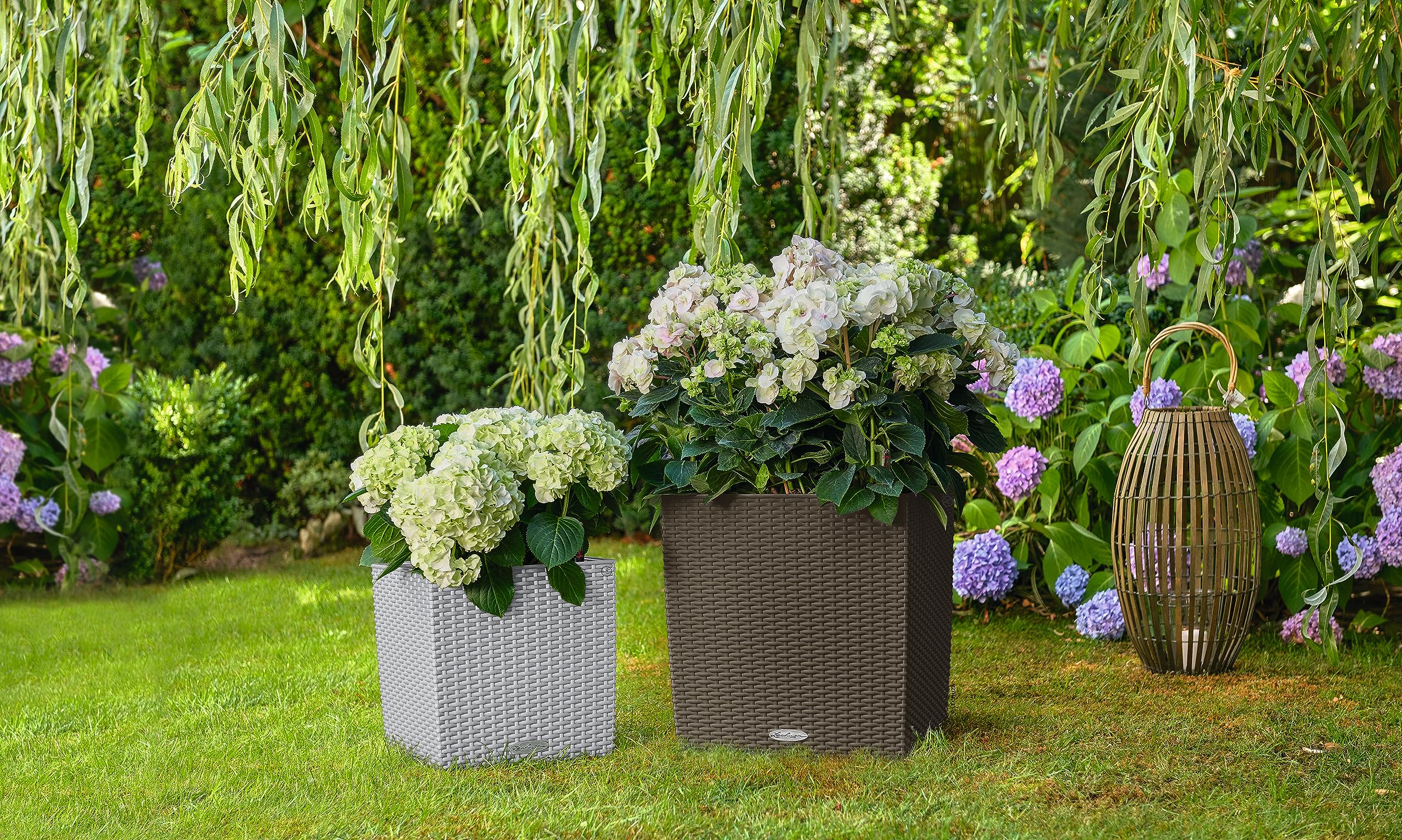 Lechuza Cube Cottage 30 Gris Clair 15357