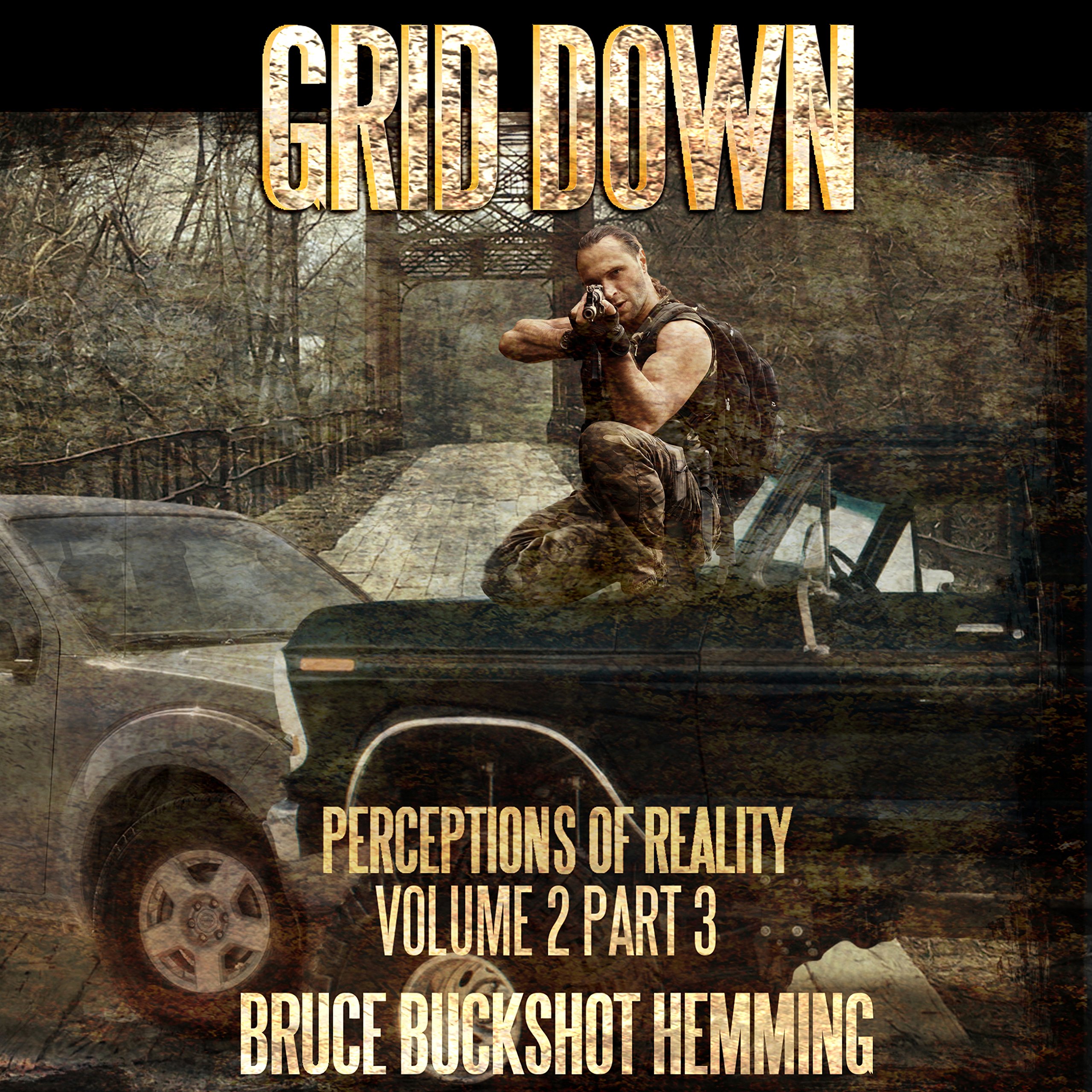 Cover art for Grid Down: Perceptions of Reality: Volume 2, Part 3