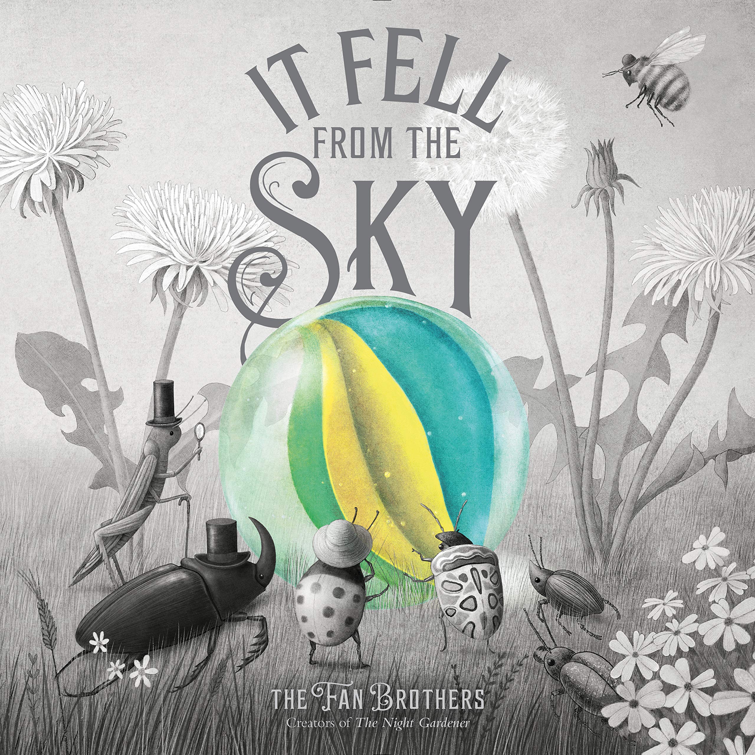 It Fell From The Sky by Eric Fan (Hardback Book)