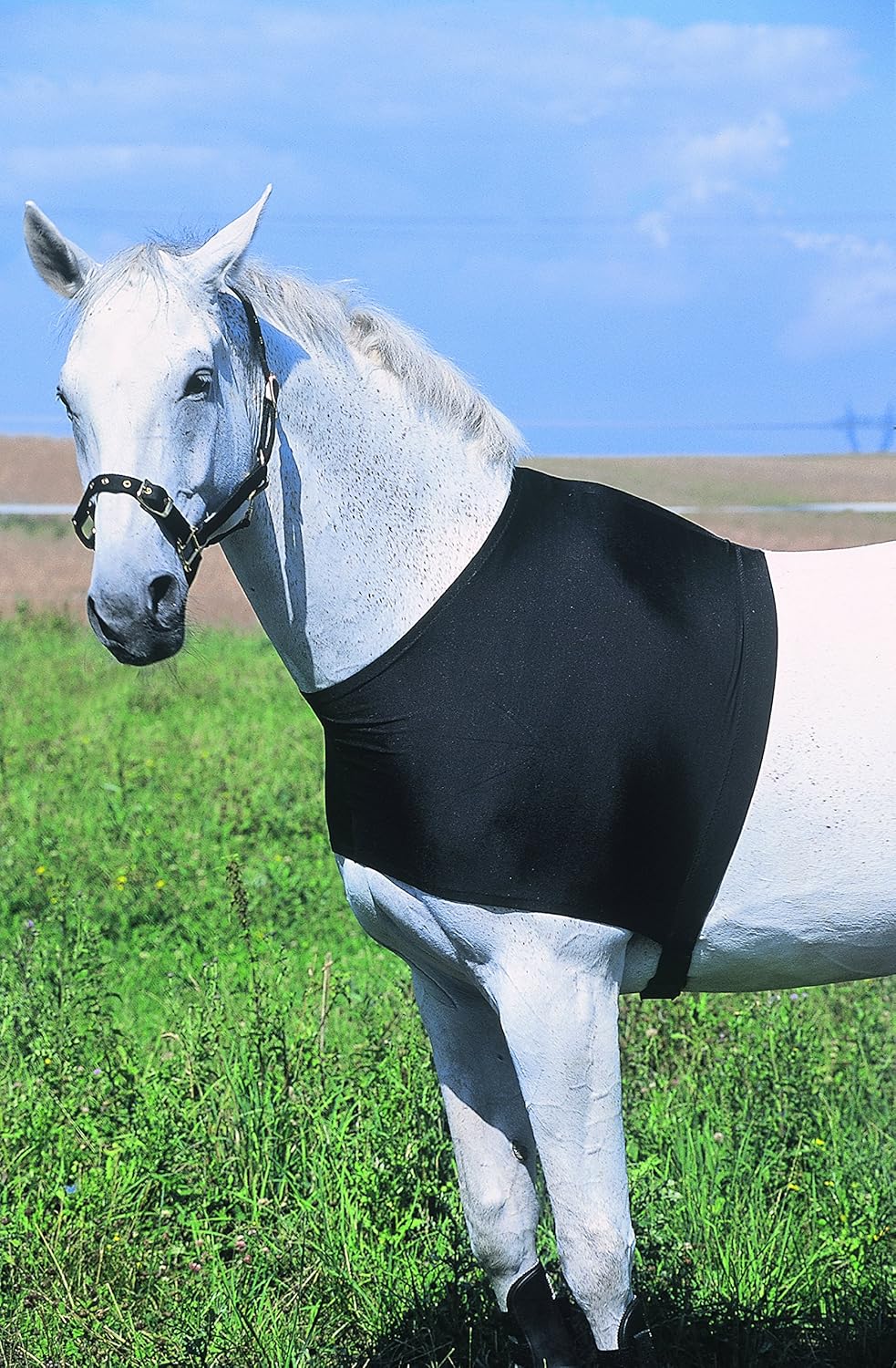 Générique Shoulder protection - Size : M - Black