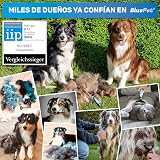Ver la foto 4