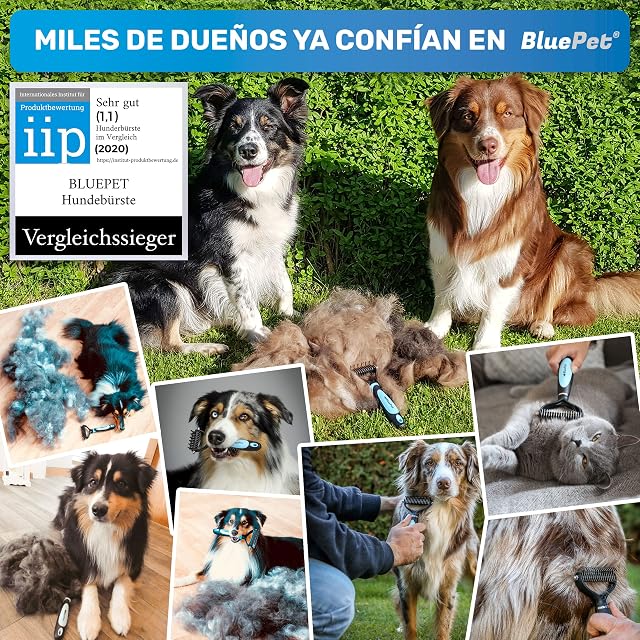 Foto 4 de 7 de BluePet Peine Perros y Gatos, Cepillo Pelo Largo, Quita Nudos y Subpelo