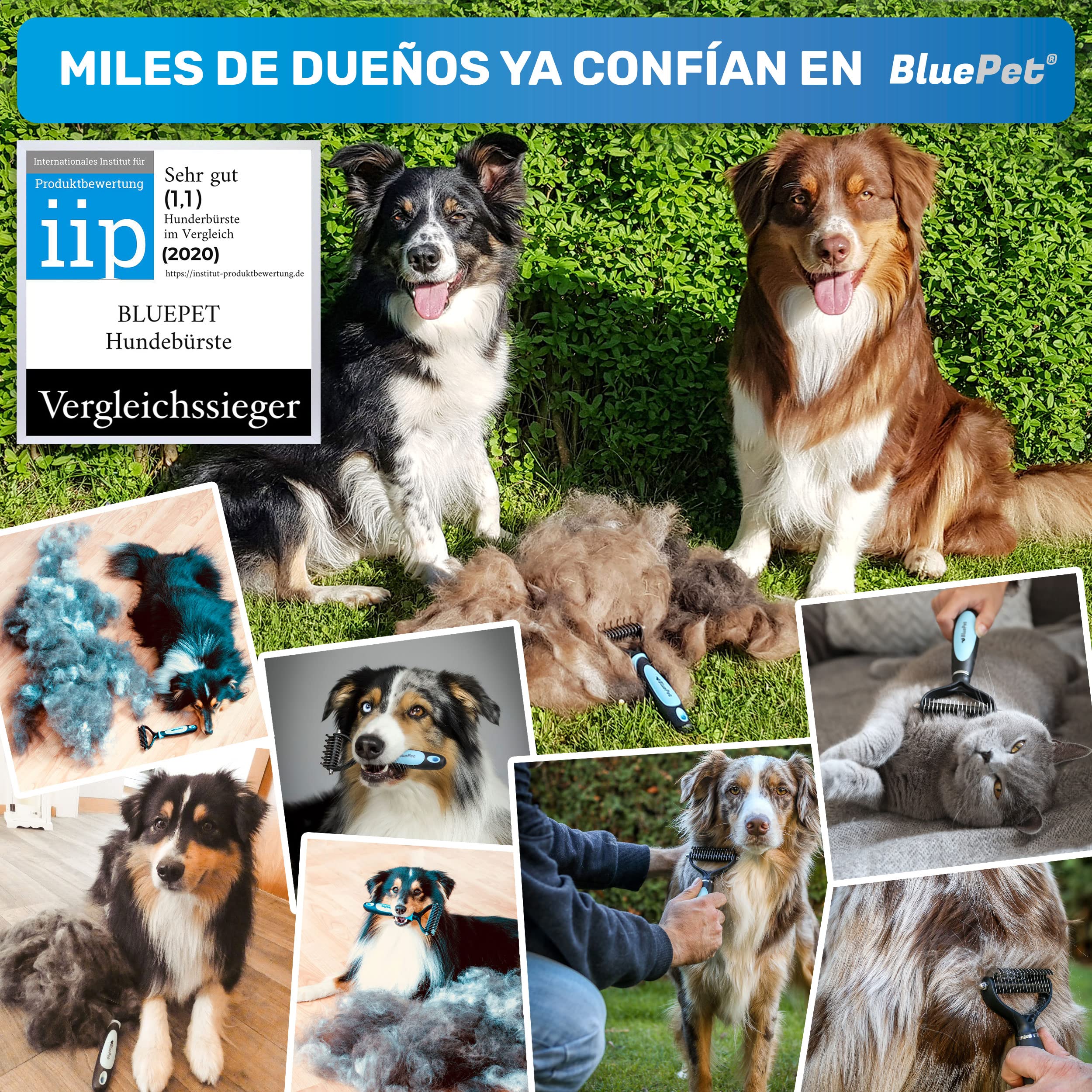 BluePet Peine para Perros y Gatos, Cepillo Gato Perro Pelo Largo, Rastrillo Quita Nudos, Pelo Muerto, Subpelo, Deslanador Mascotas Pelos Largos, Cepillos Quitapelos, Escoba Deslanar, Quitapelo Mascota — view 4