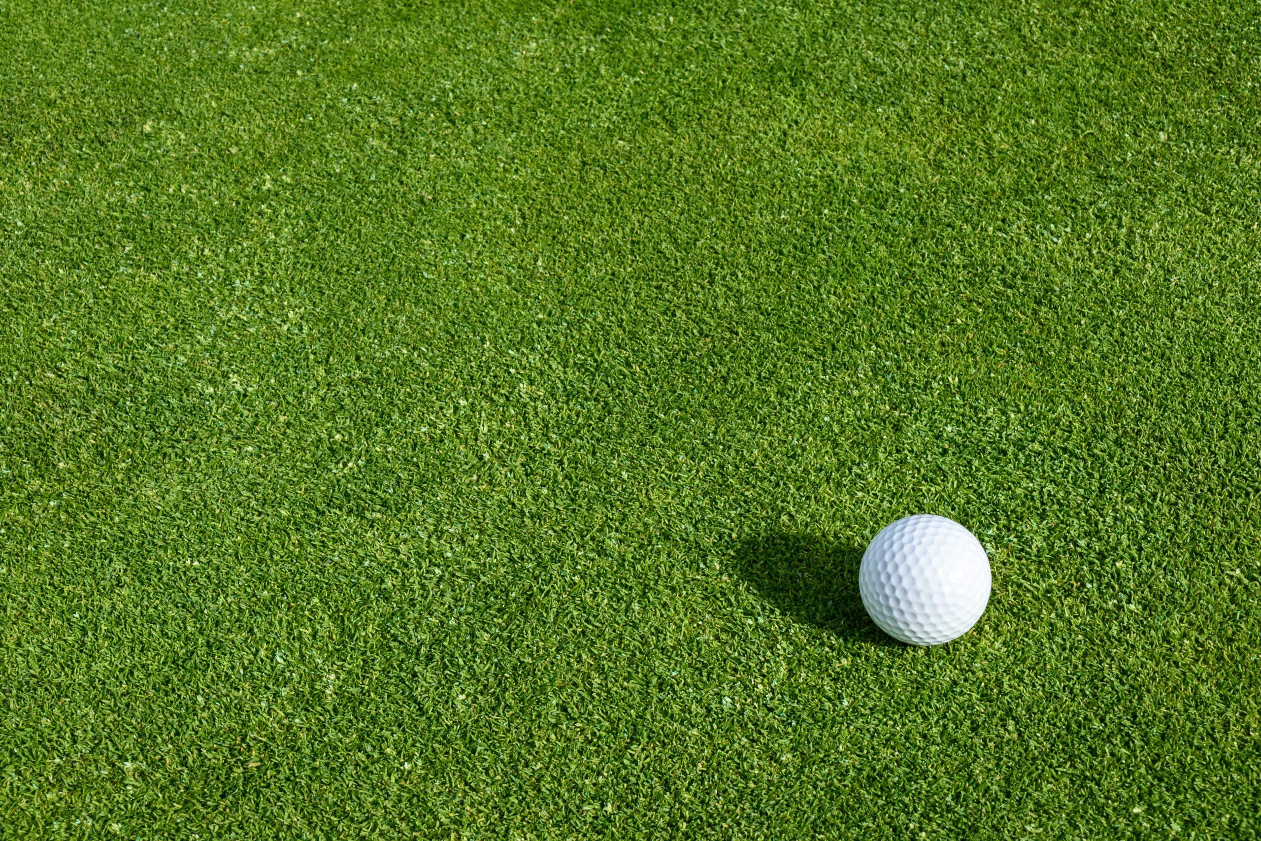 Seeds2Go Creeping Bentgrass