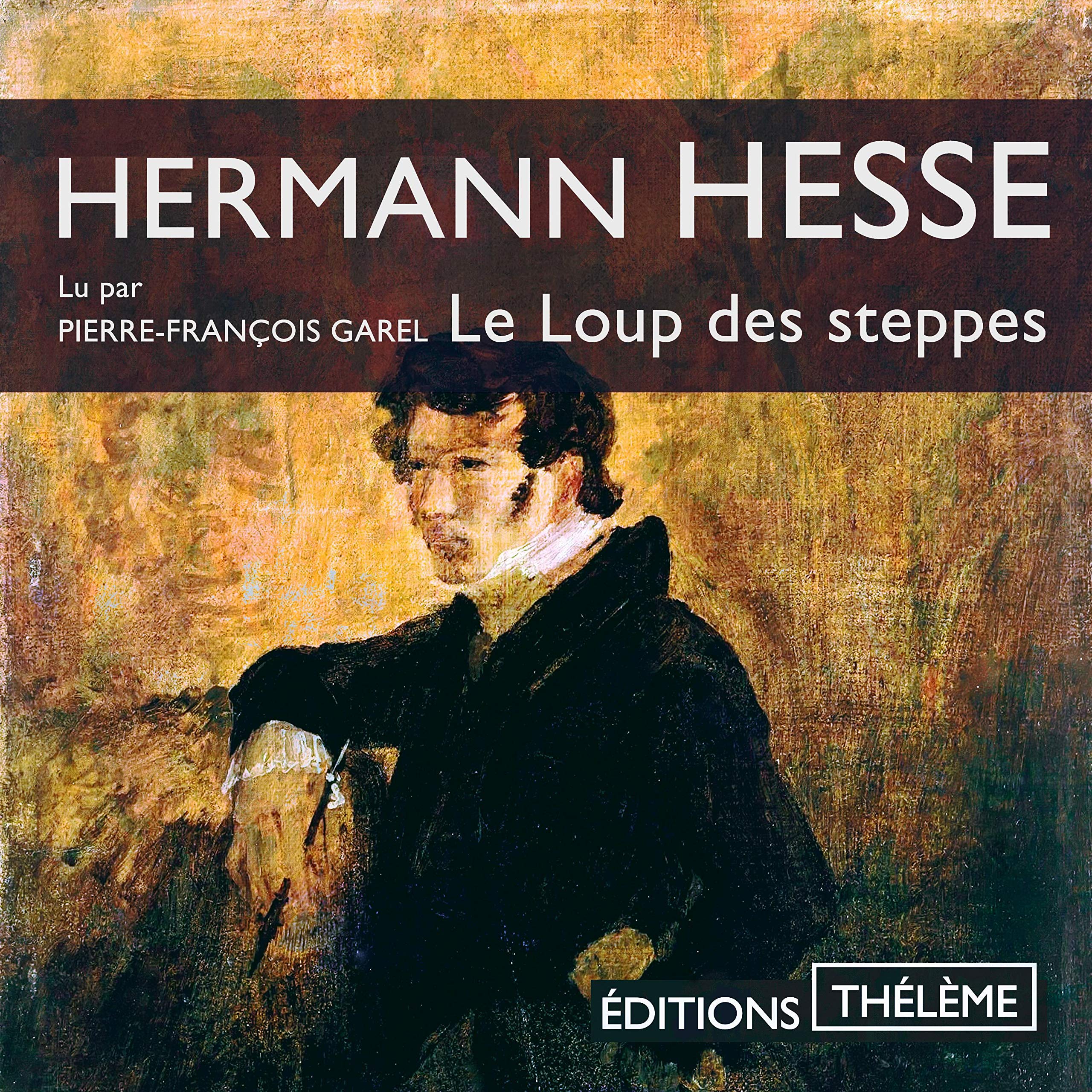 Cover art for Le Loup des steppes