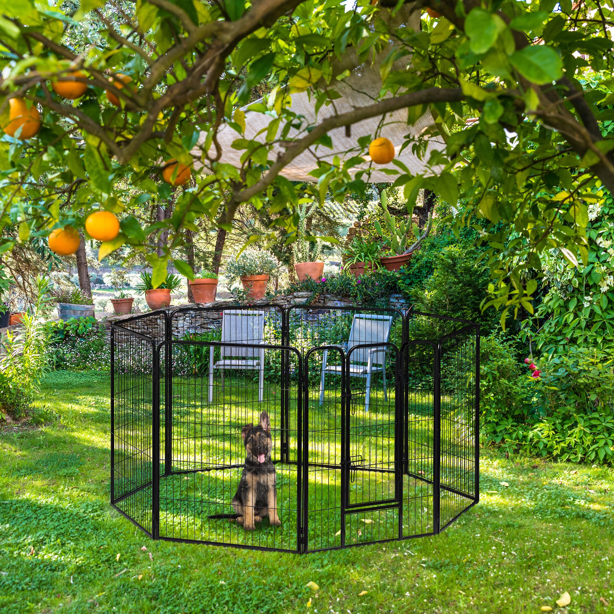 Relaxdays Recinto per Cuccioli, Cani Piccoli, da Interno, Stabile, da Esterno, Box, HLP 100x76,5x235 cm, Nero