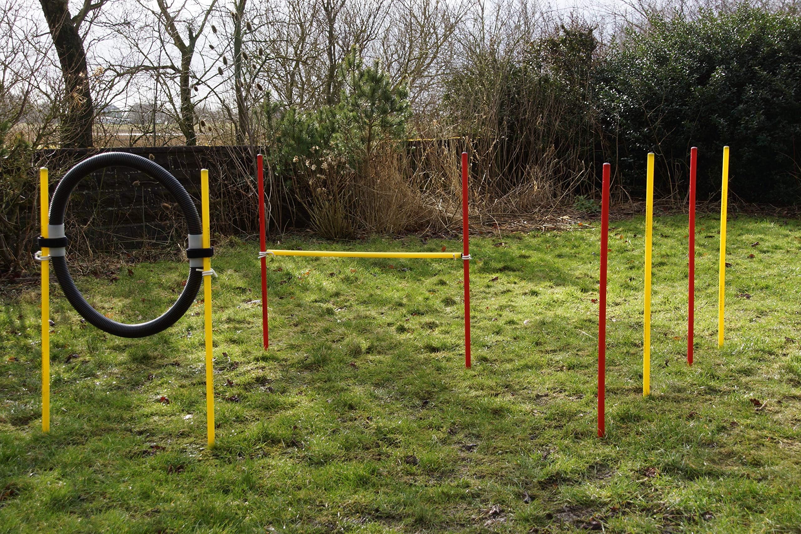 Wuzzmann Trading AGILITY - BEGINNER - SET, COLOR RED/YELLOW/BLACK, AGILITY STARTING KIT