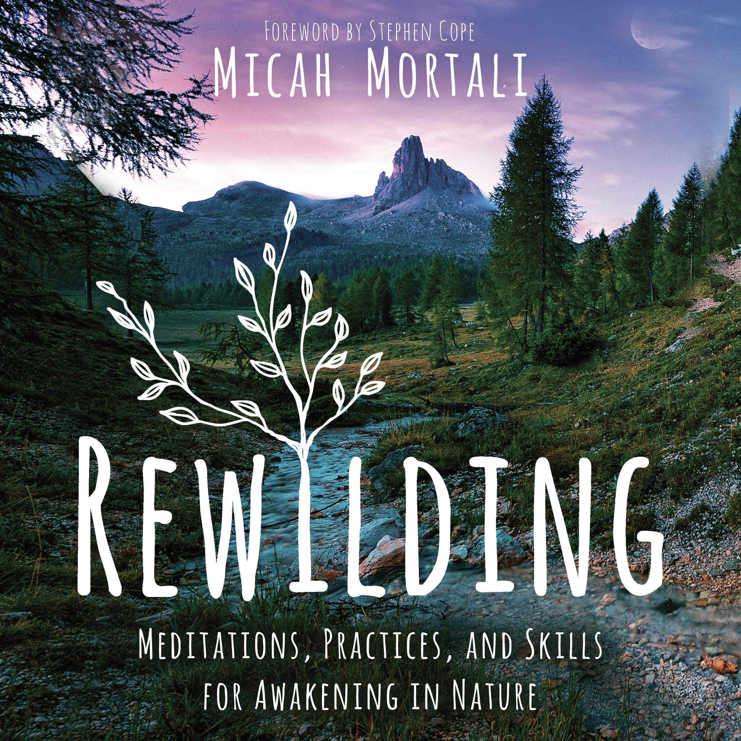 Cover art for Rewilding