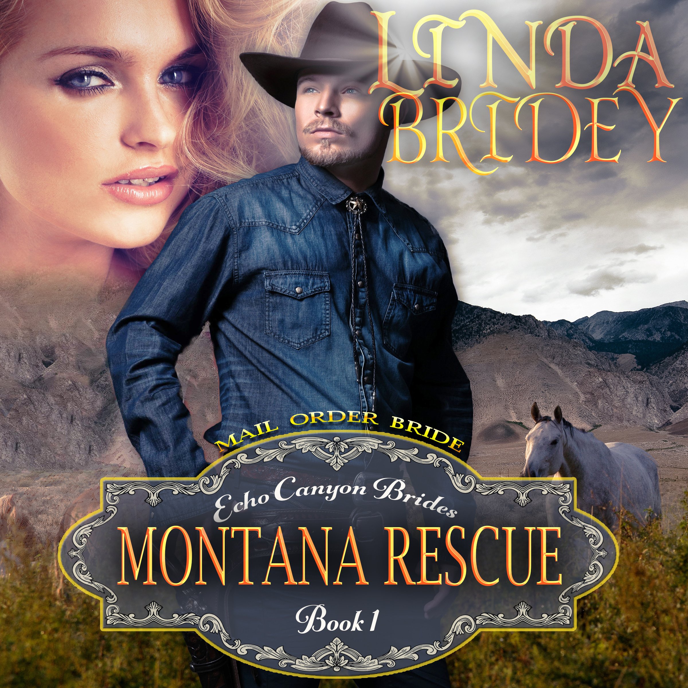 Cover art for Mail Order Bride: Montana Rescue