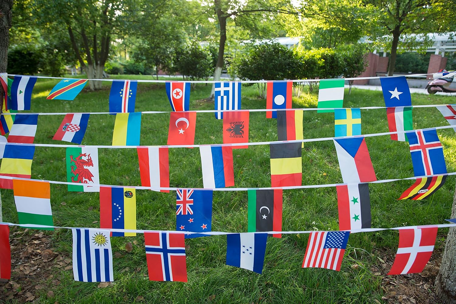 Amazon.com: International String Flags Banners,100 Countries Flags ...