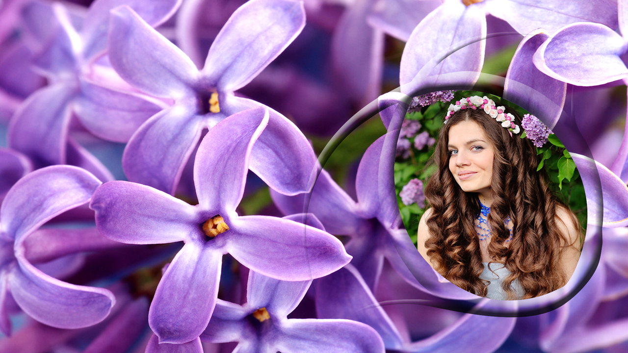 Lilac Flowers Photo for Android