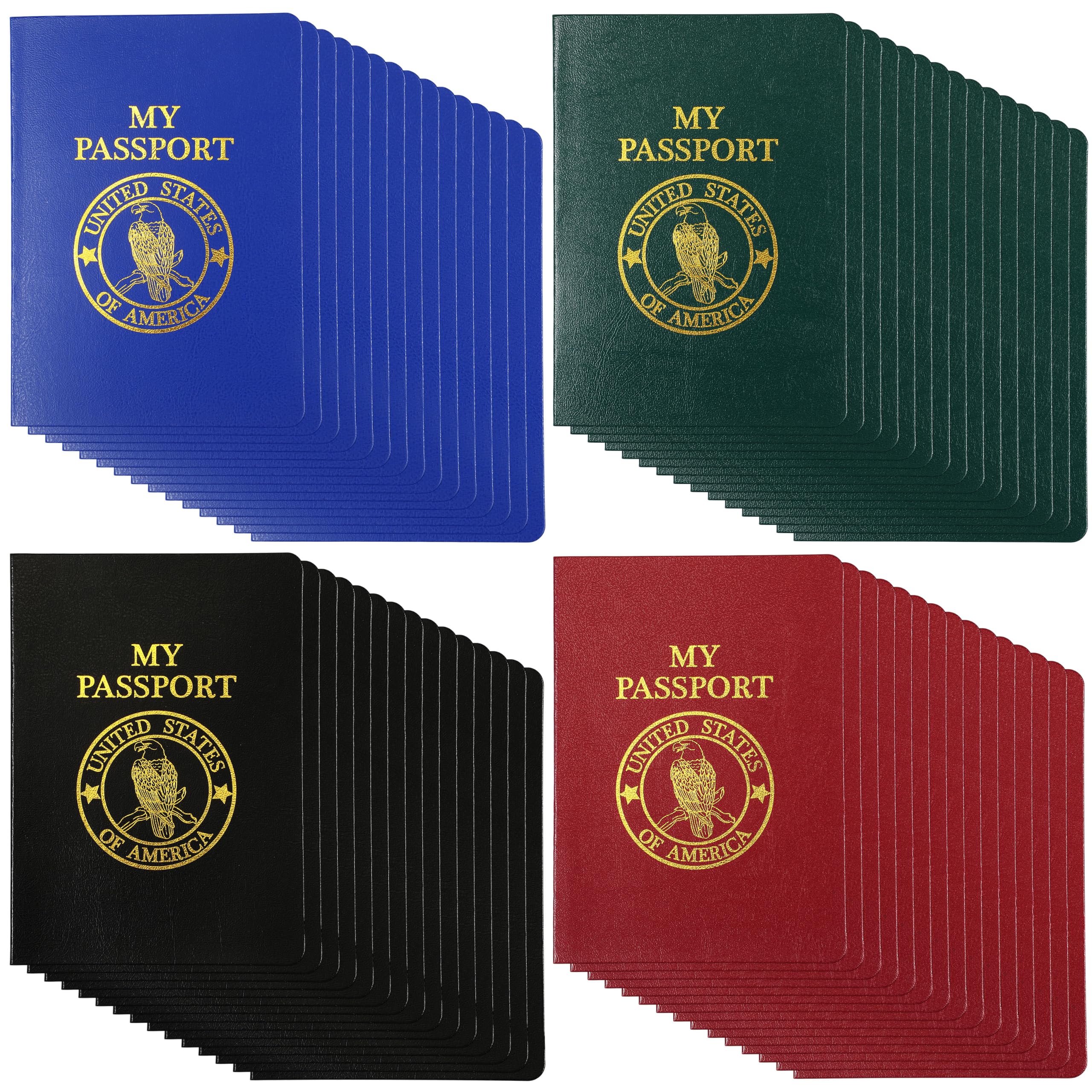 SATINIOR 60 quaderni vuoti per passaporto, per fingere passaporto, libri, attività, quaderni falsi a tema mondiale, viaggi e feste (multicolore)
