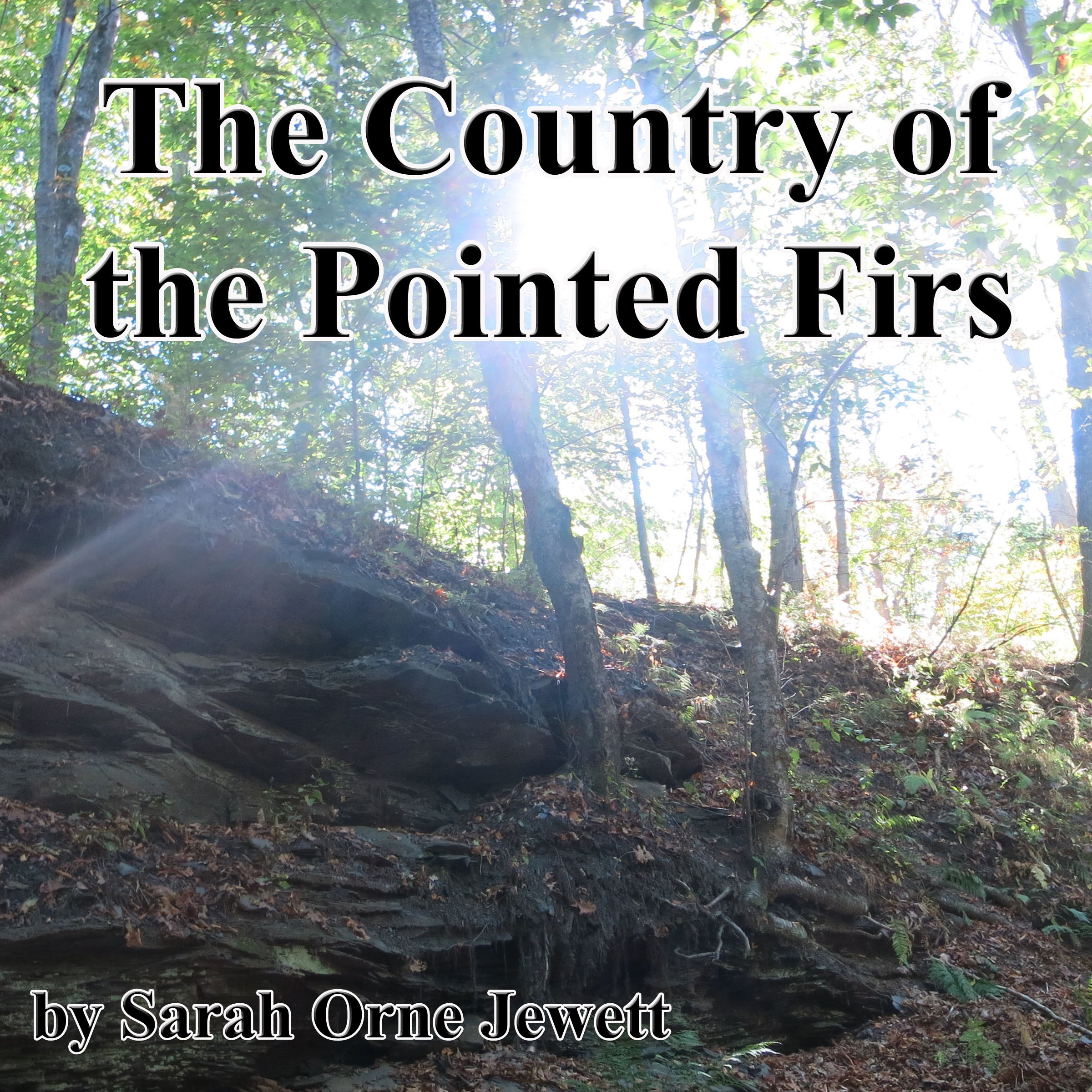 The Country of the Pointed Firs